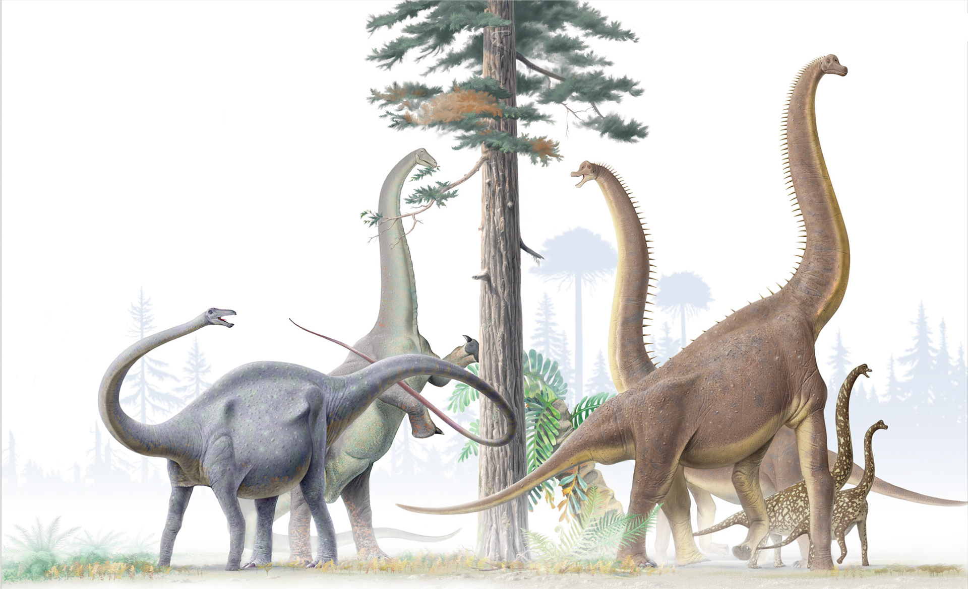 Illustration till egen faktabok / Semic