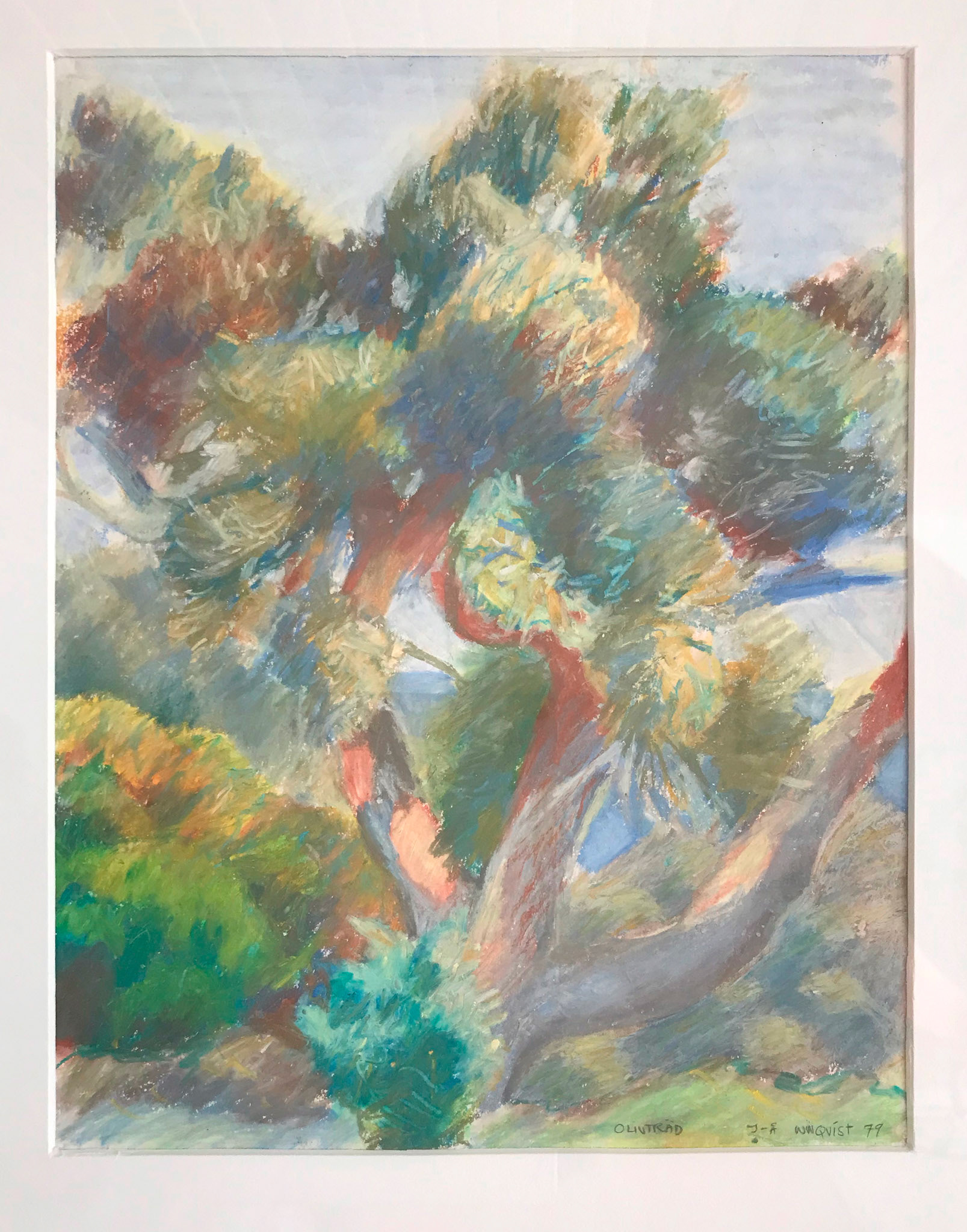 Olivträd (oljepastell)