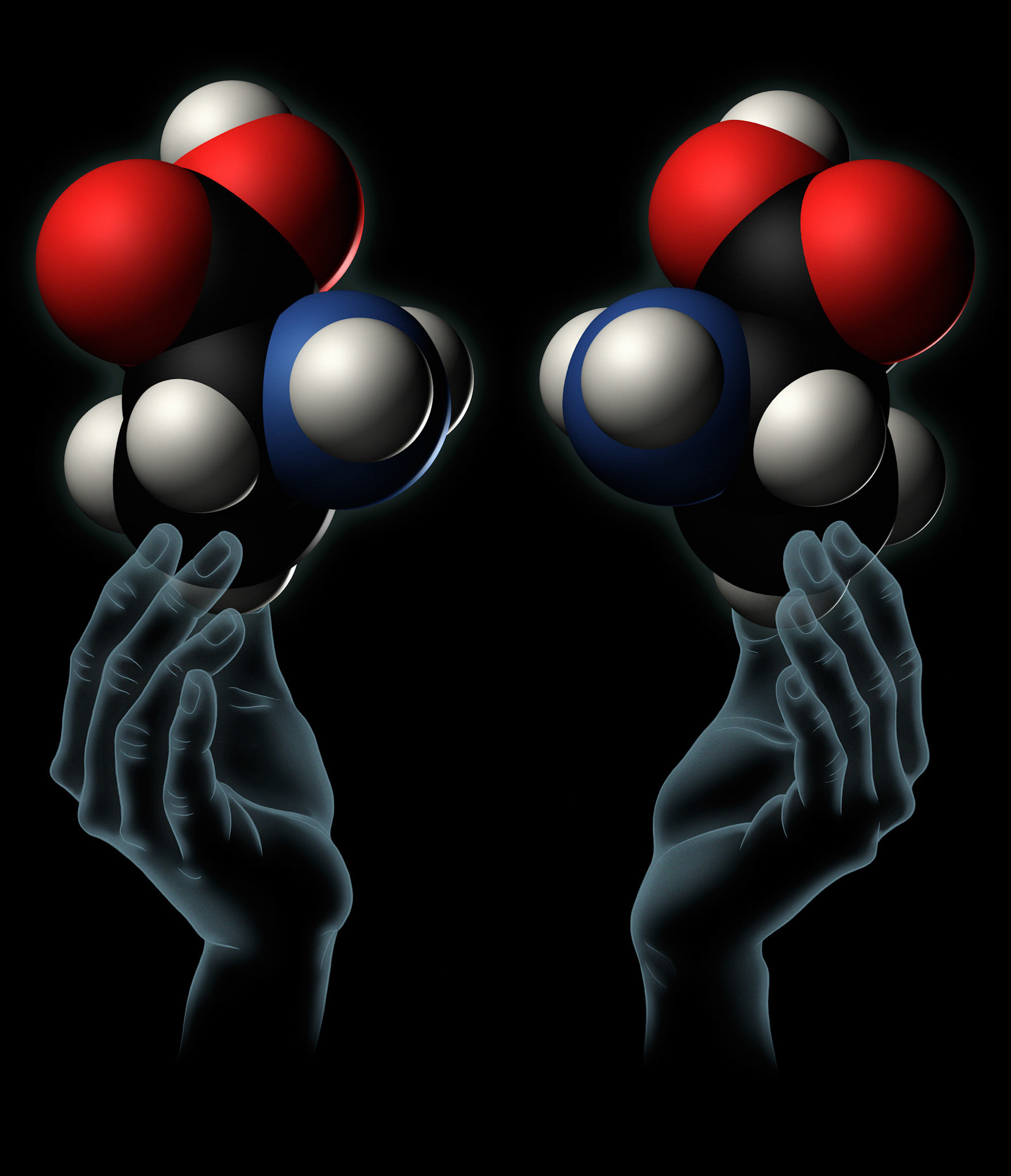 Nobelpriset i kemi 2001, Illustration till KVA:s officiella affisch