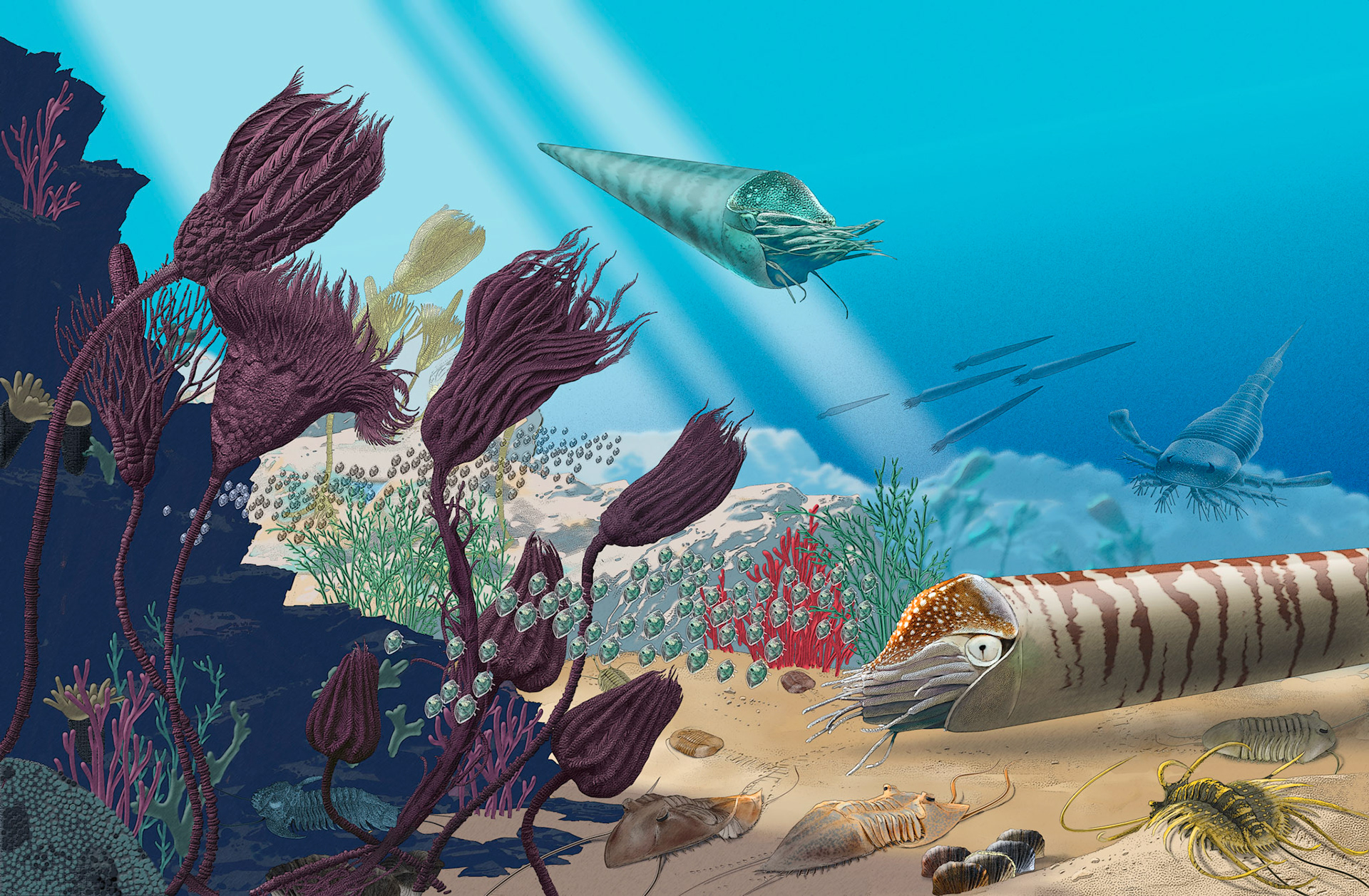 Miljöbild från Ordovicium / Forskning och framsteg