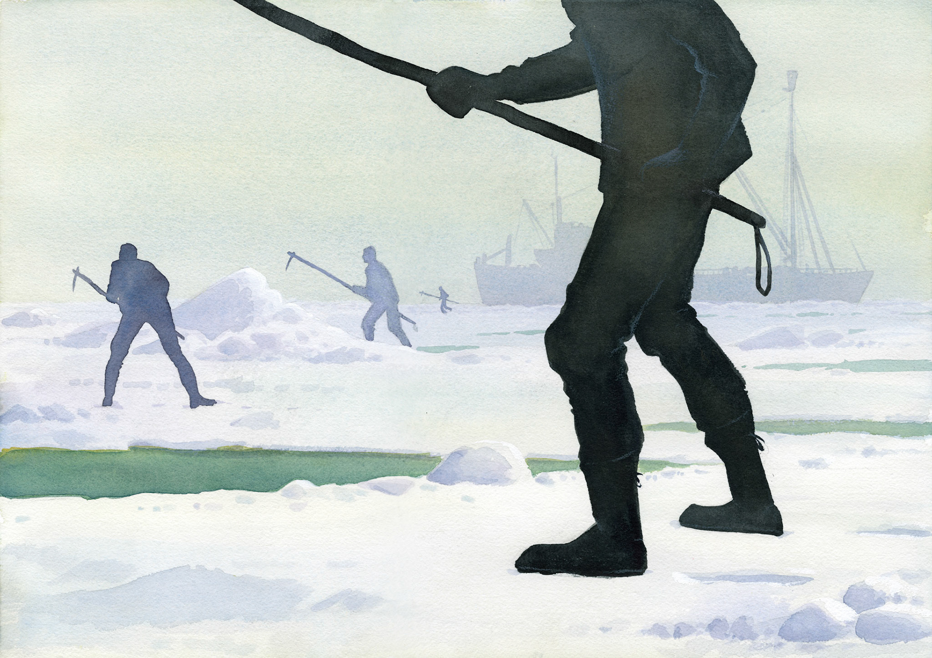 Den lilla sälungen av Odd F. Lindberg, Illustration till inlagan