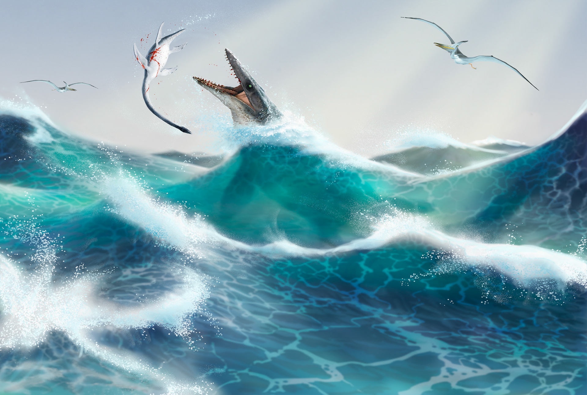 Illustration till egen faktabok / Semic