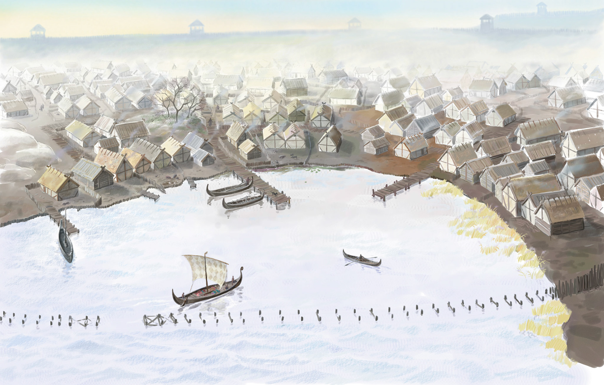 Disa på Birka / Natur och kultur