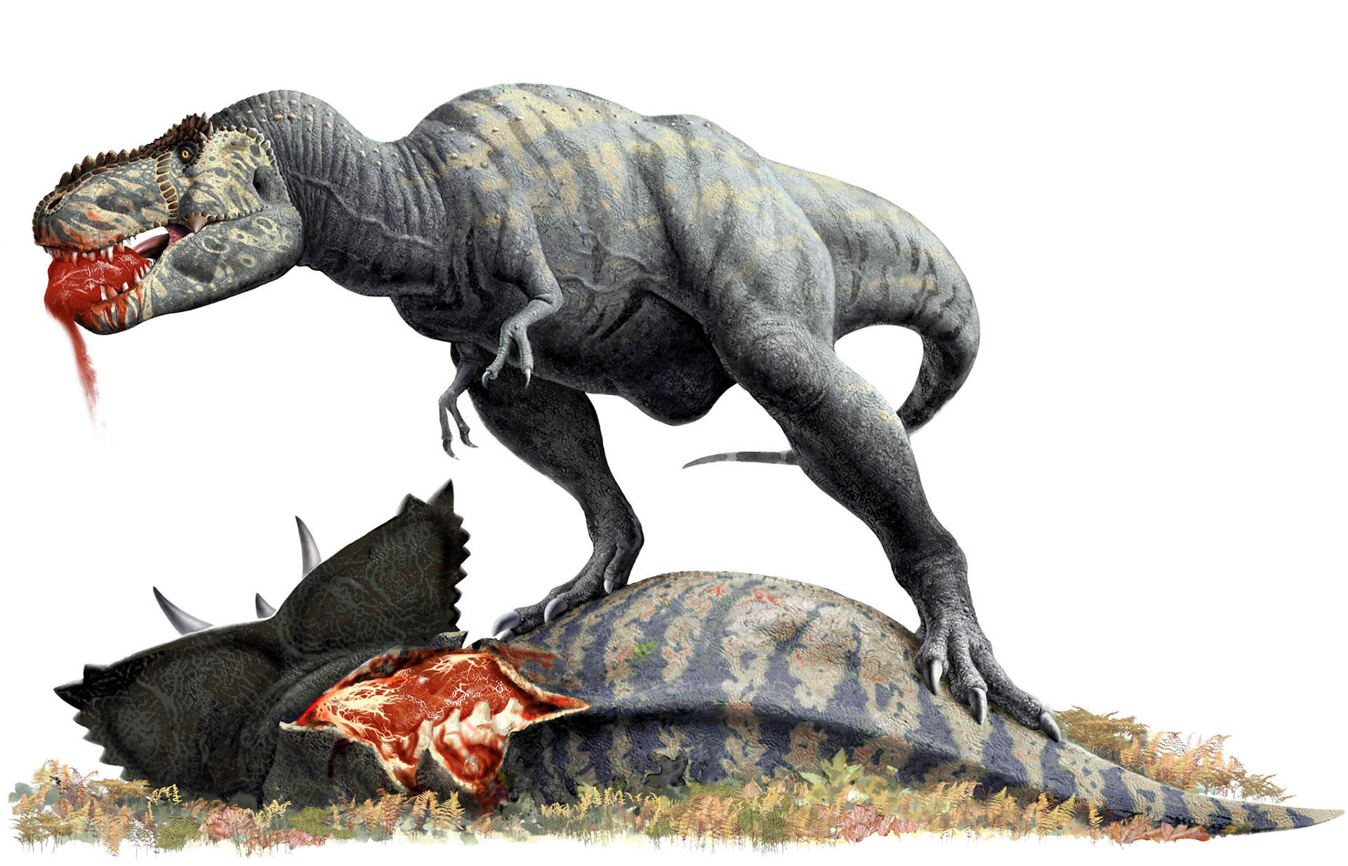 Illustration till egen faktabok / Semic