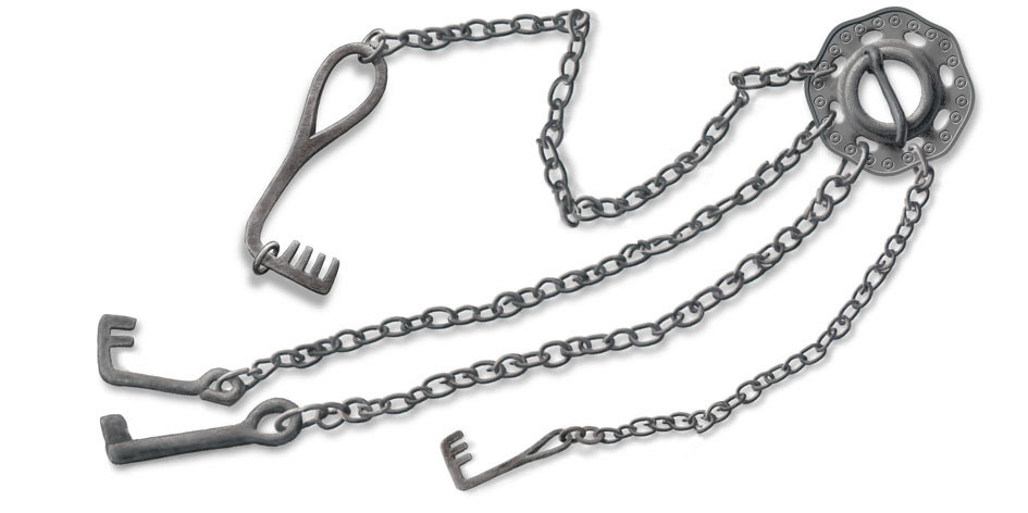 Disa på Birka / Natur och kultur