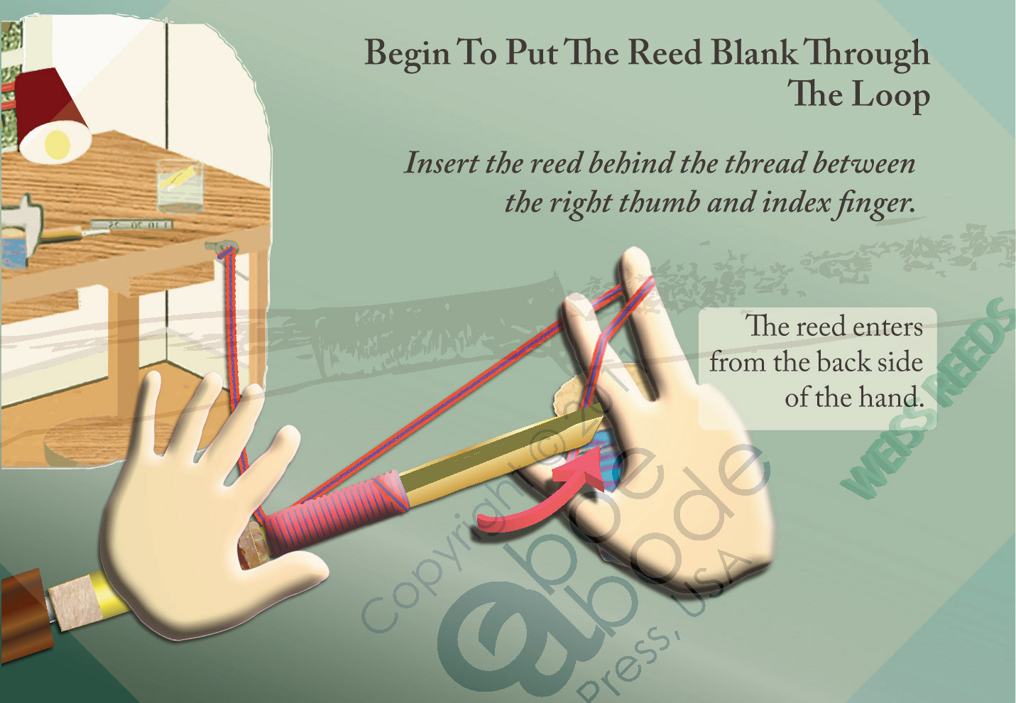 From Lesson 4: Tying The Reed