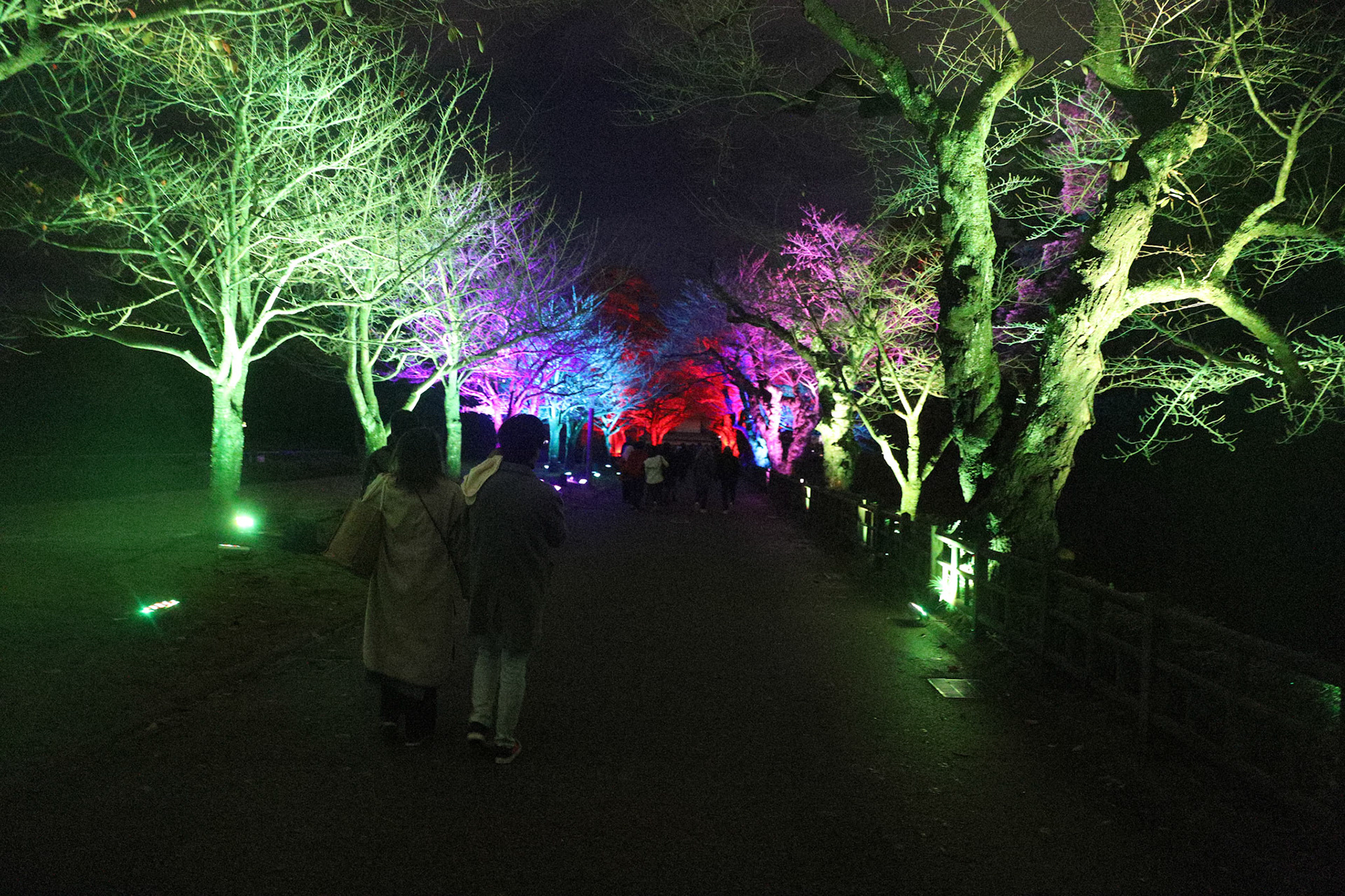 teamLab at Kanazawa Castle