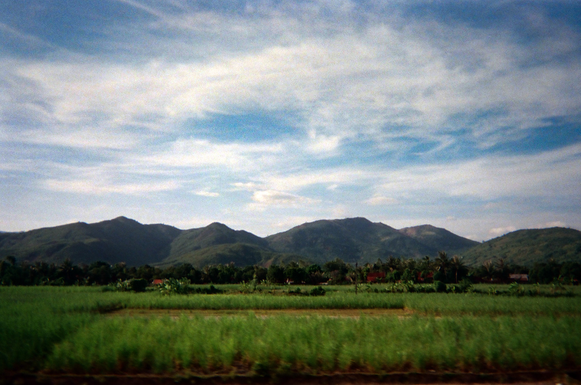 View from Train Window