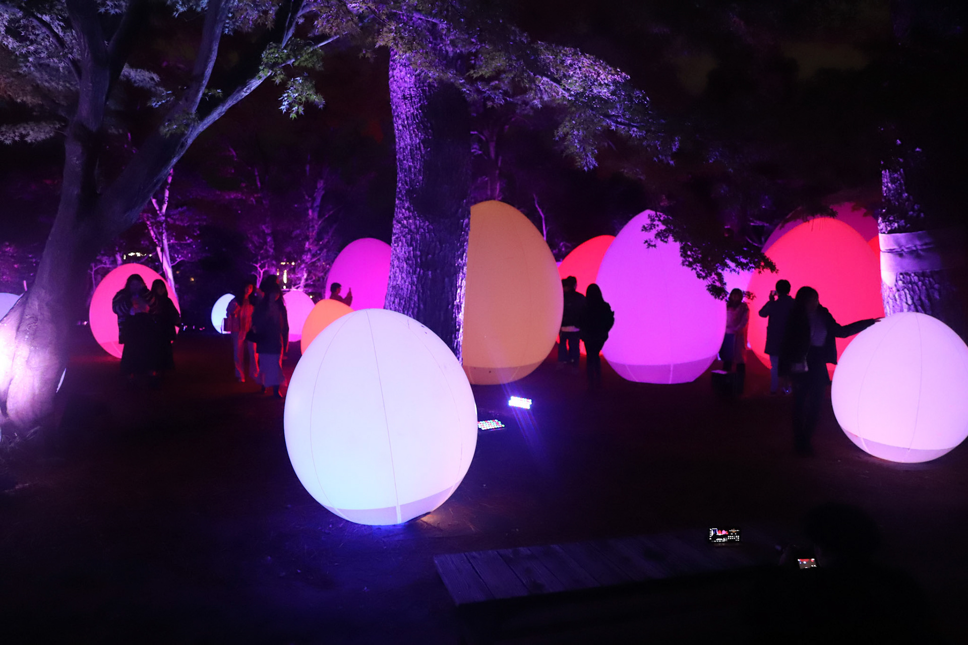 teamLab at Kanazawa Castle