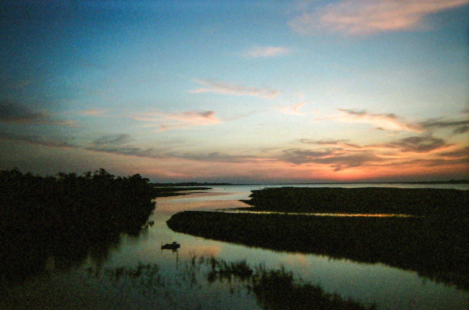View from Train Window 3
