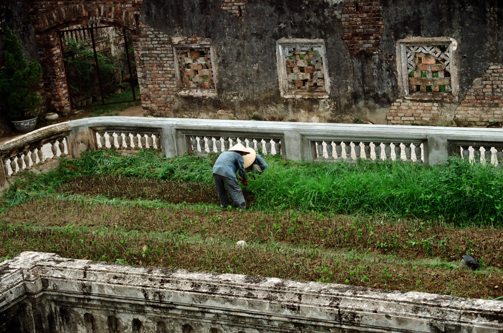 Gardener, Imperial City
