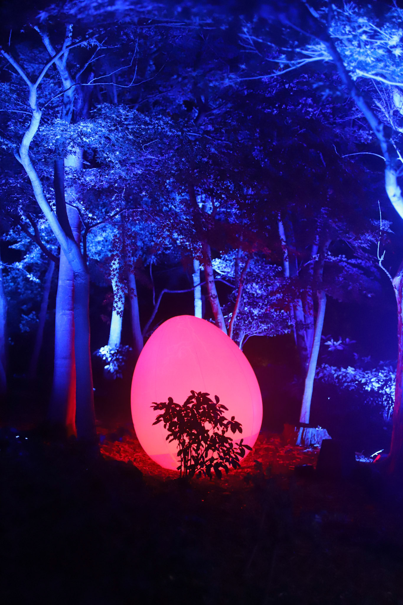 teamLab at Kanazawa Castle