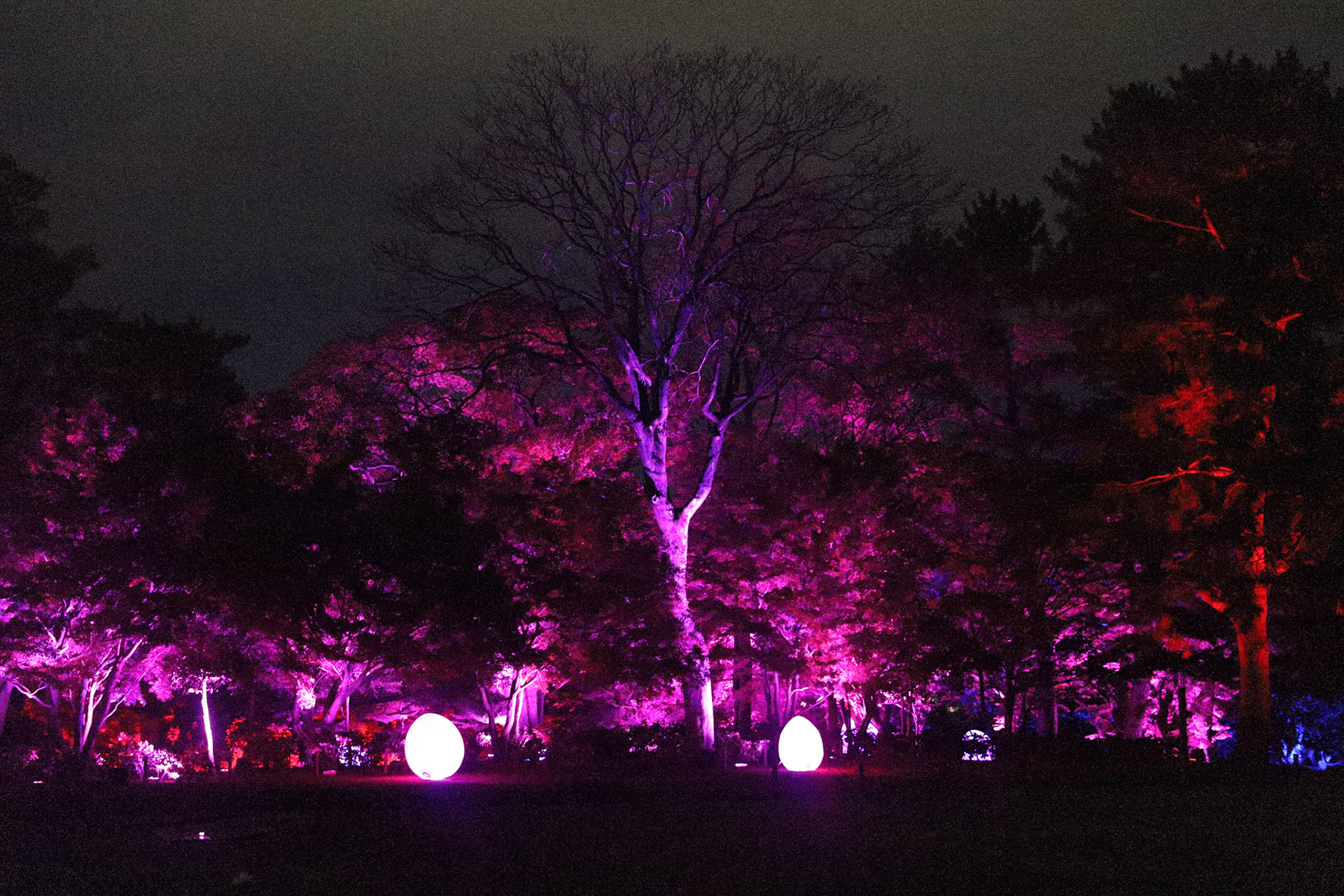 teamLab at Kanazawa Castle