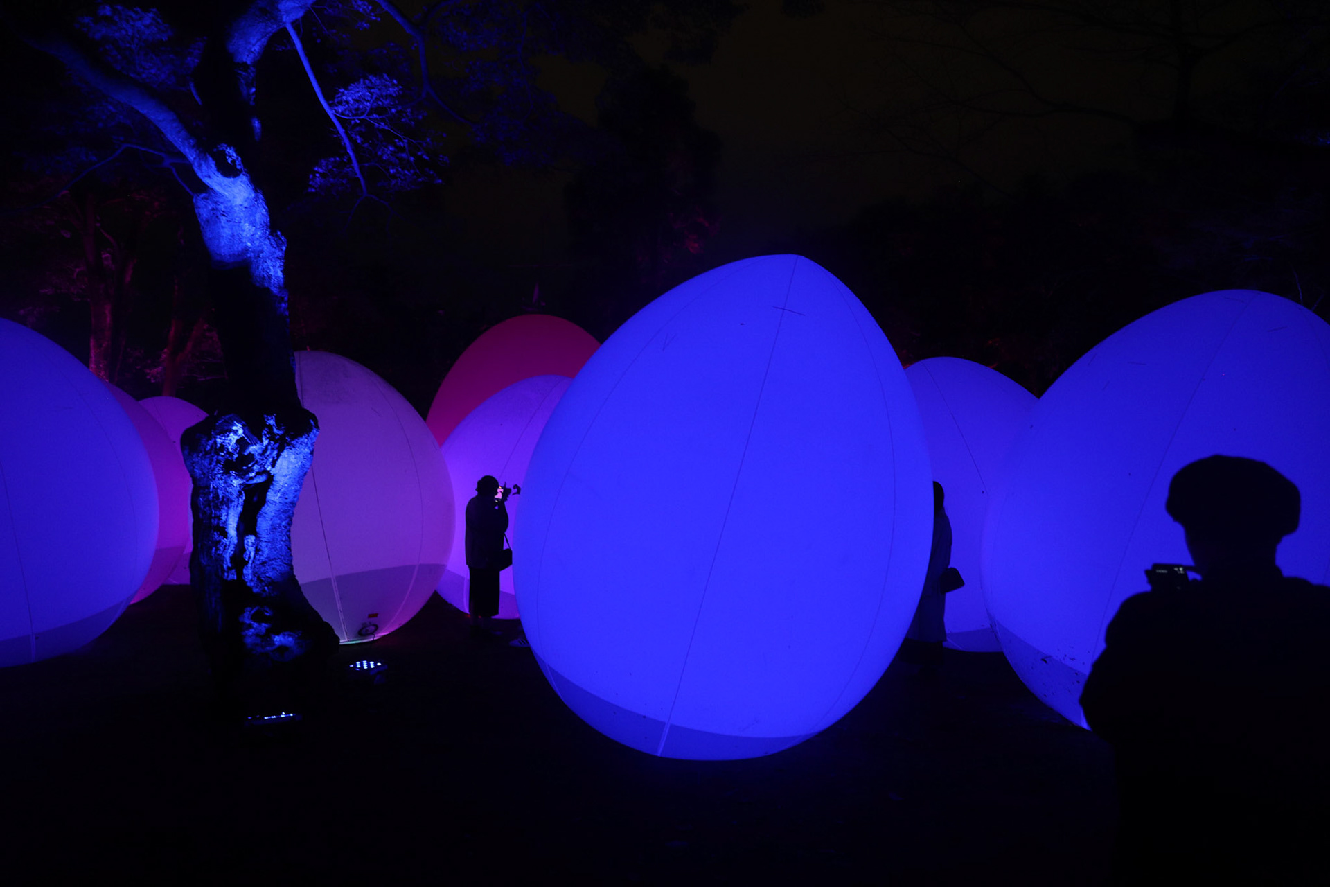 teamLab at Kanazawa Castle
