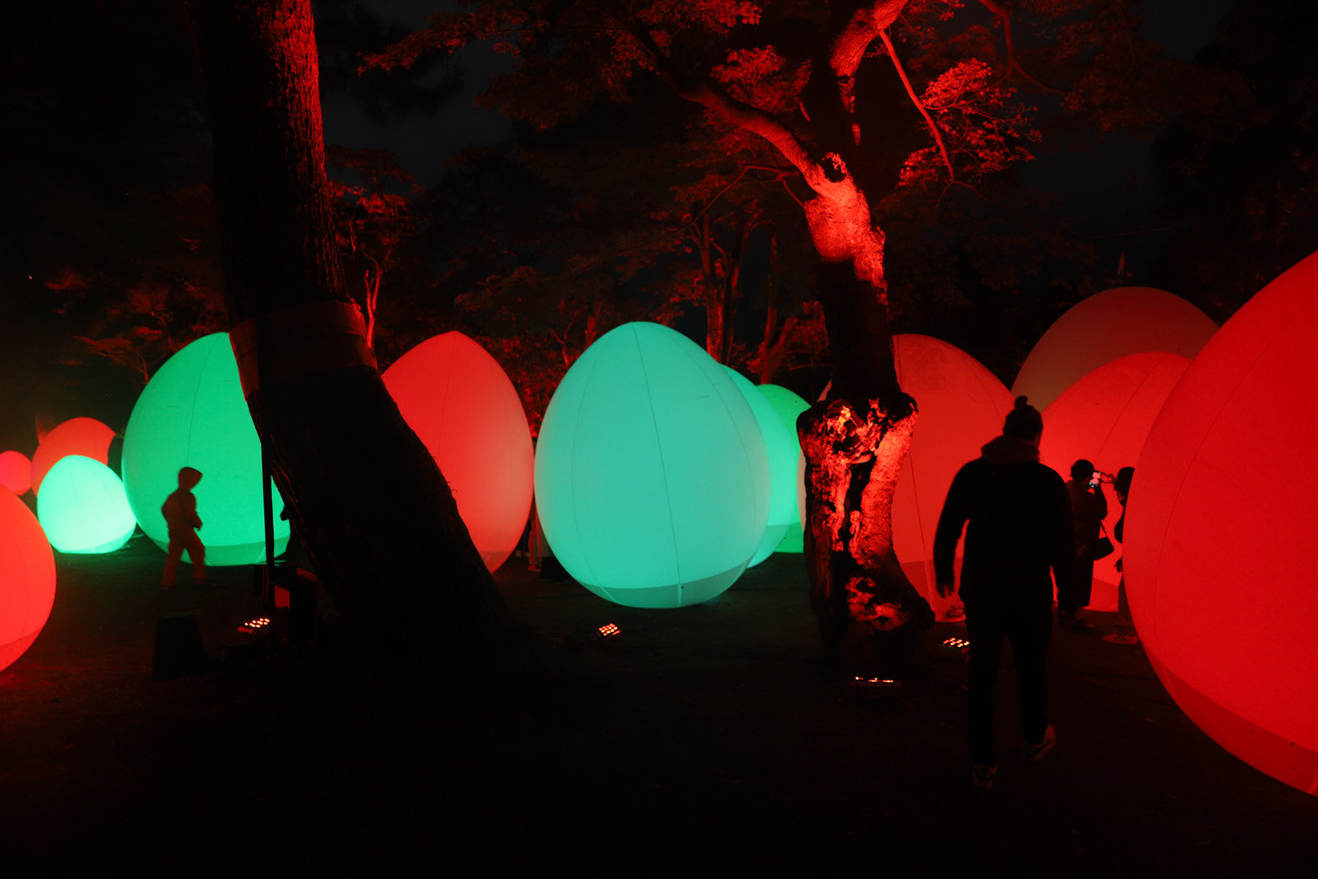 teamLab at Kanazawa Castle