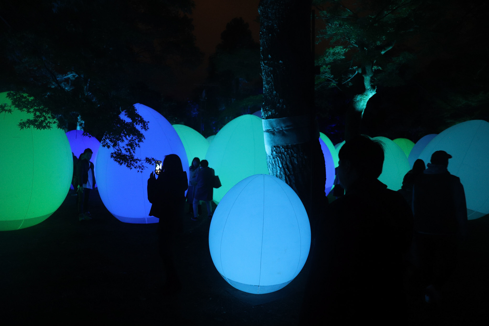 teamLab at Kanazawa Castle