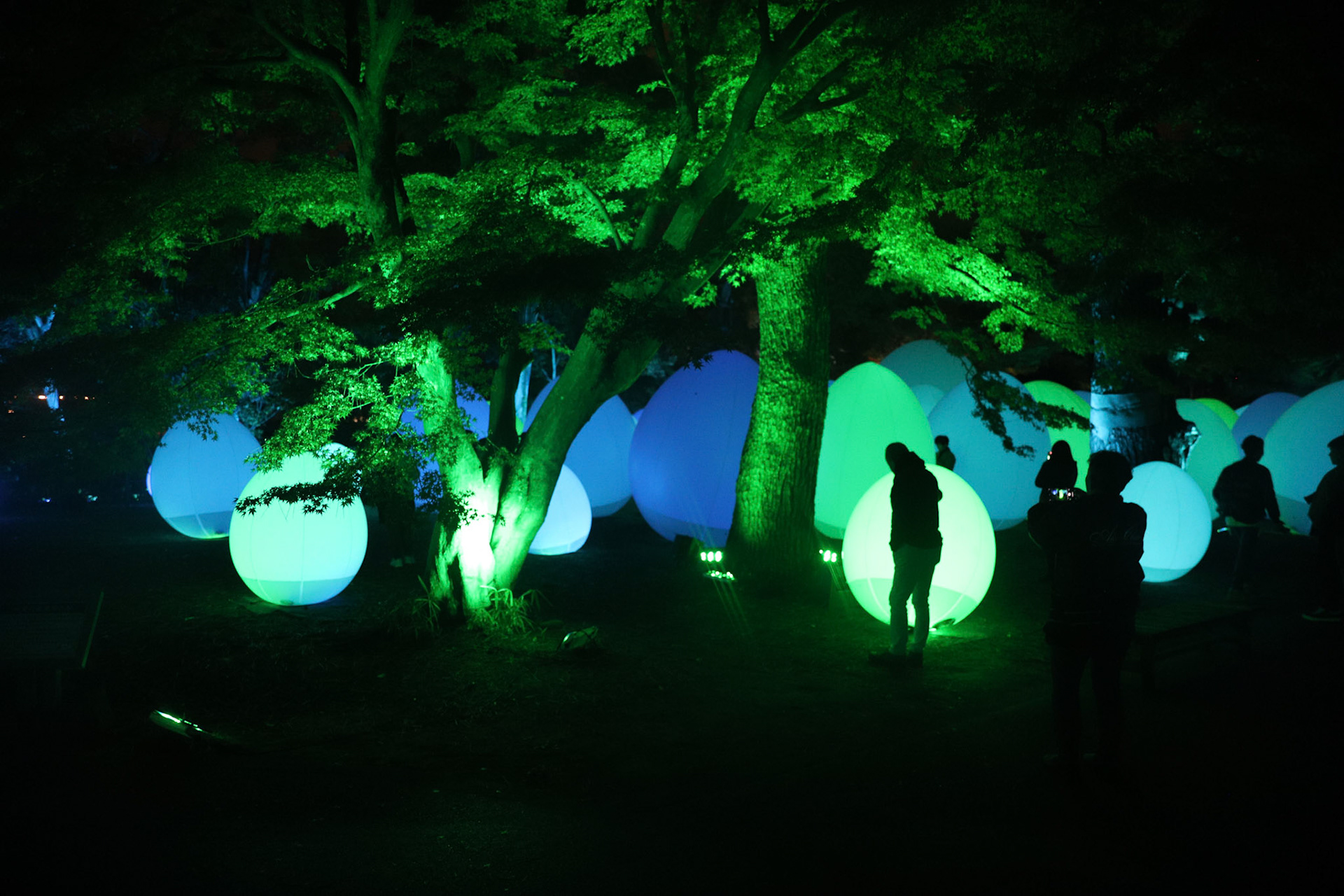 teamLab at Kanazawa Castle