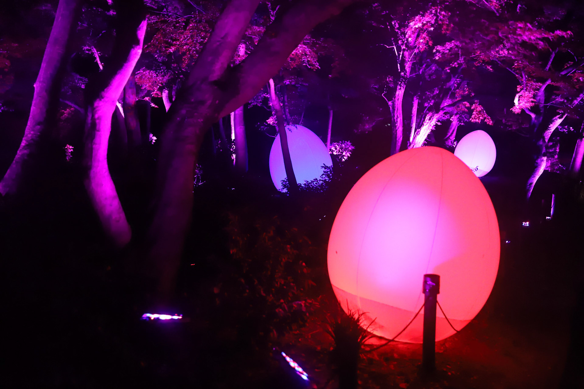 teamLab at Kanazawa Castle