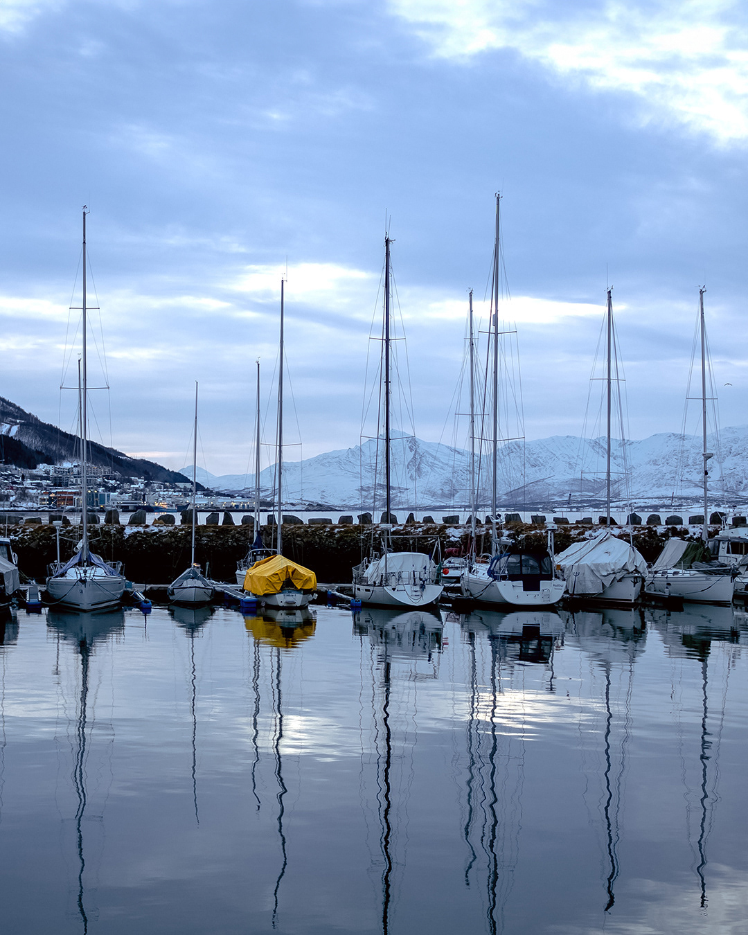 boats