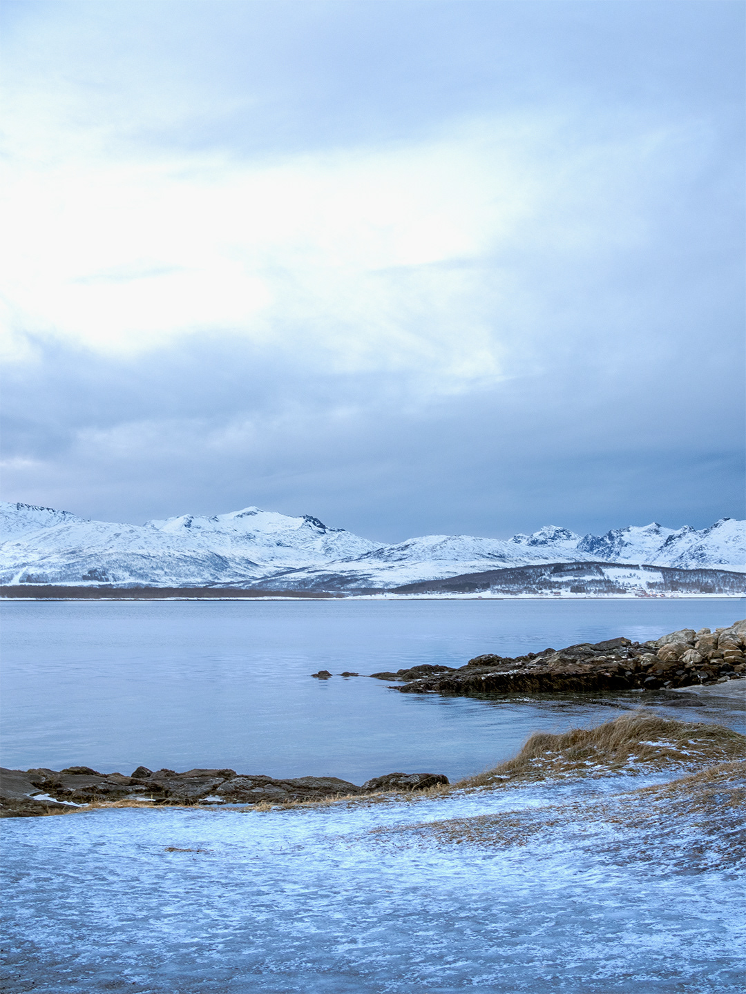 fjords