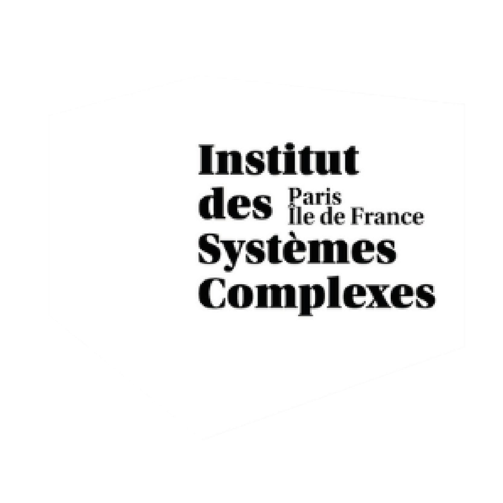 Institut des systèmes complexes