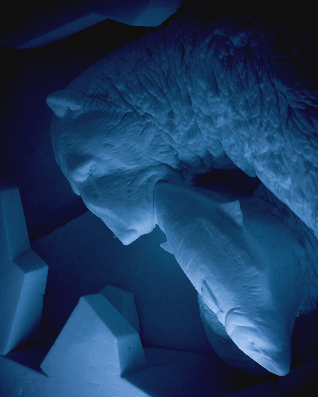 ice dome