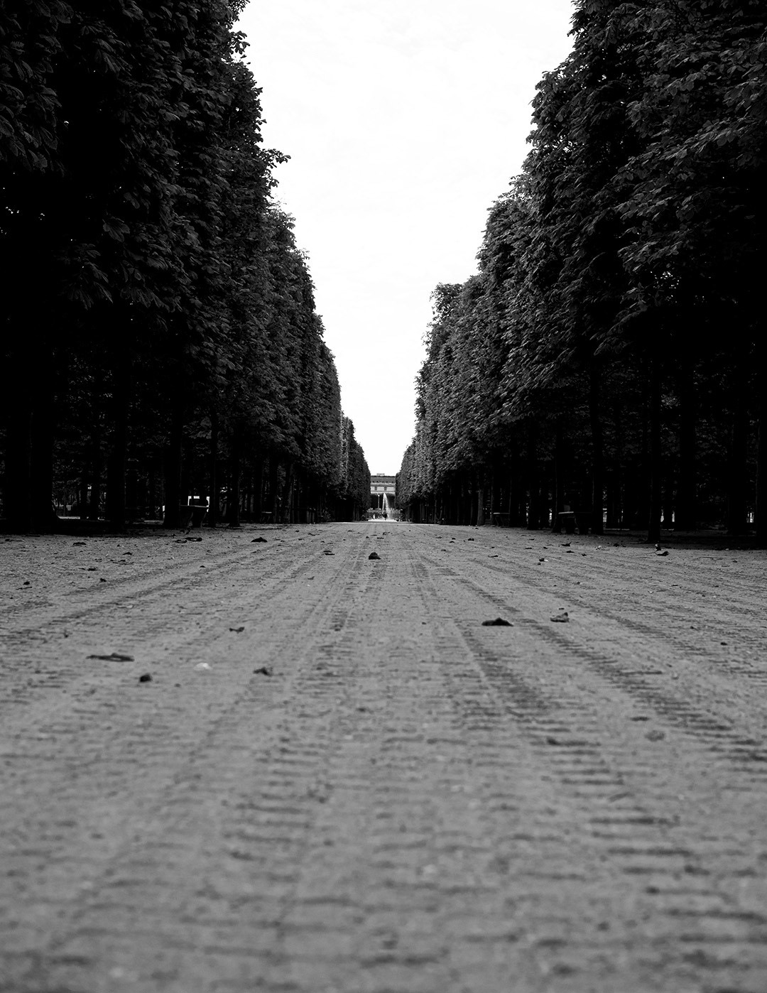 Tuileries garden