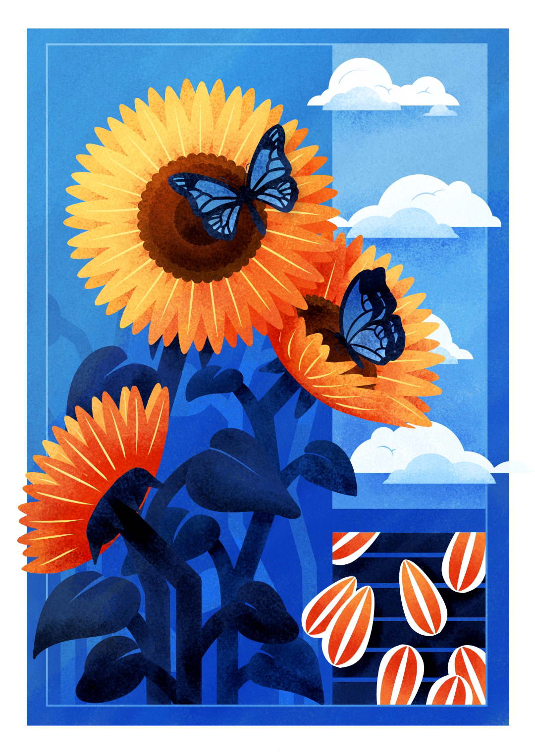 sunflower