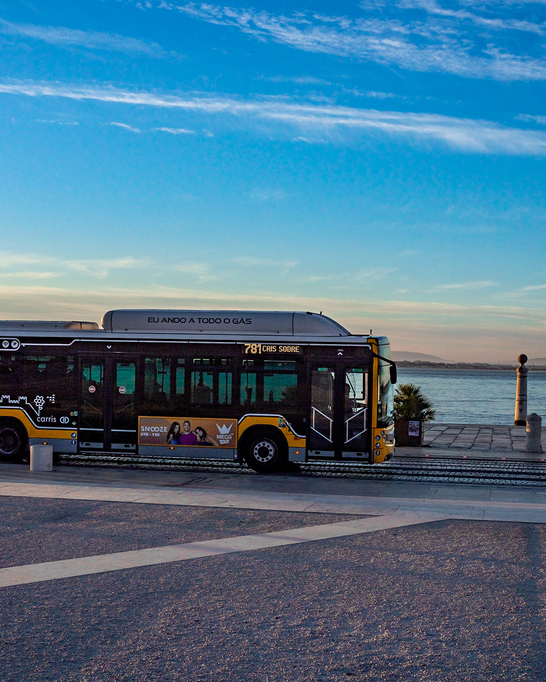 bus