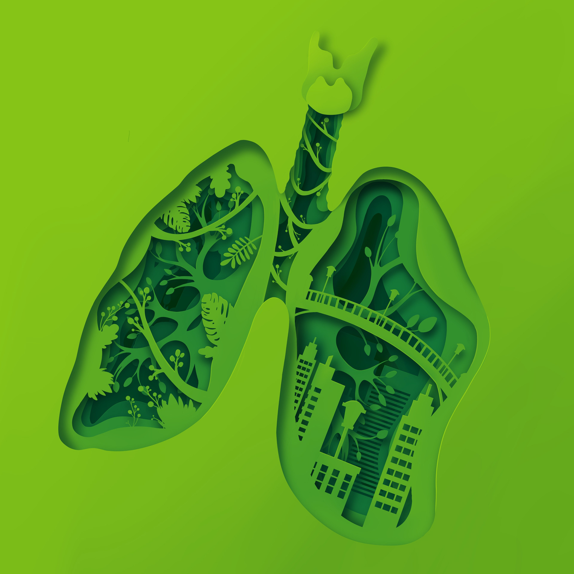 Papercut : Lungs