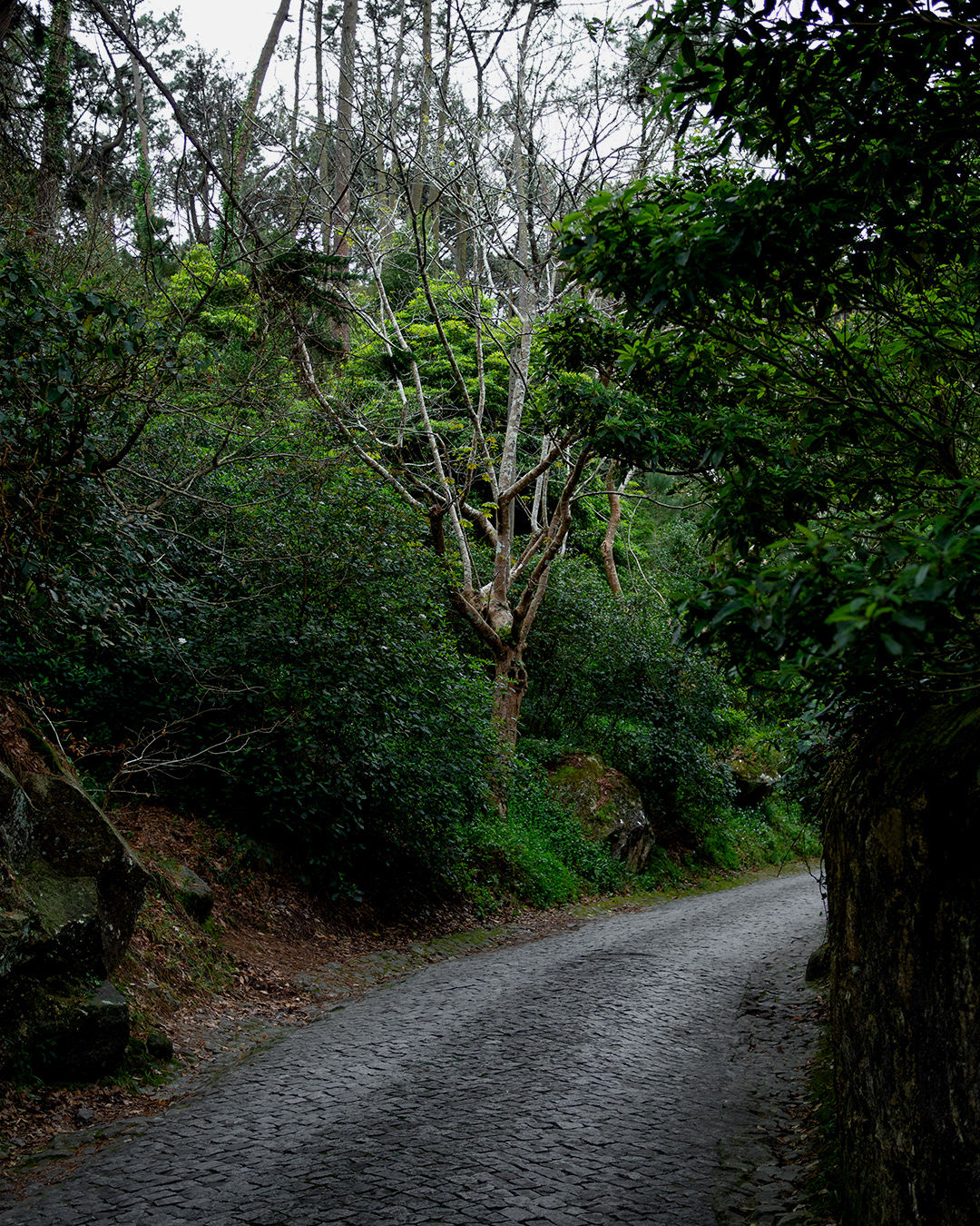 sintra