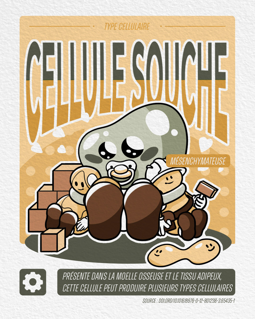 cellule souche