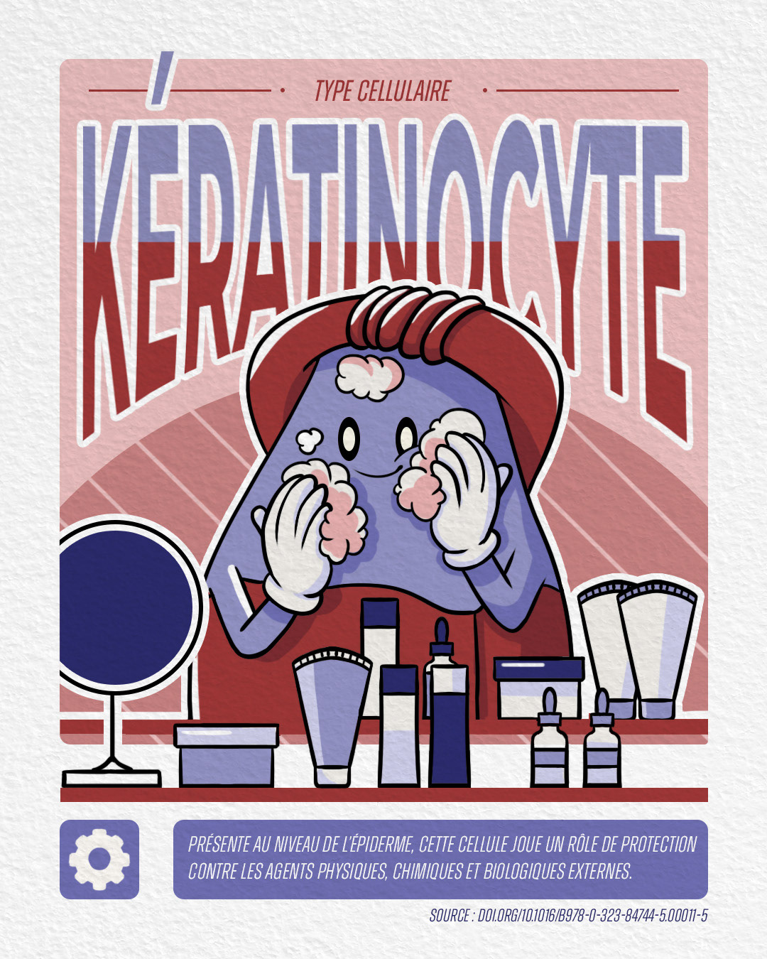kératinocyte