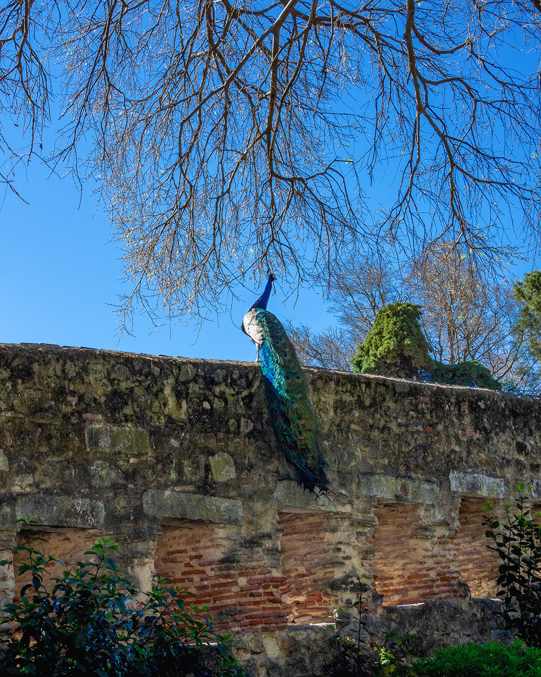 São Jorge Castle