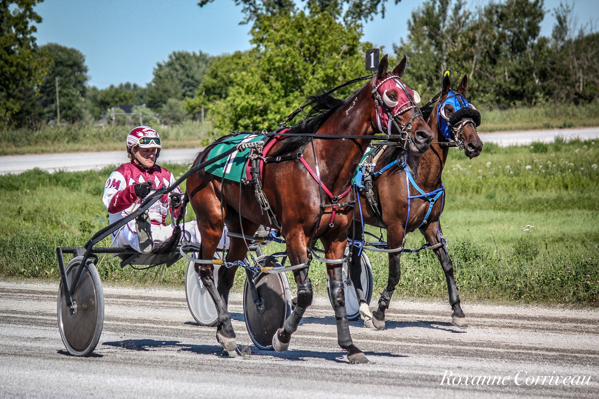 St-Hugues 7 juillet 2018 (187).jpg