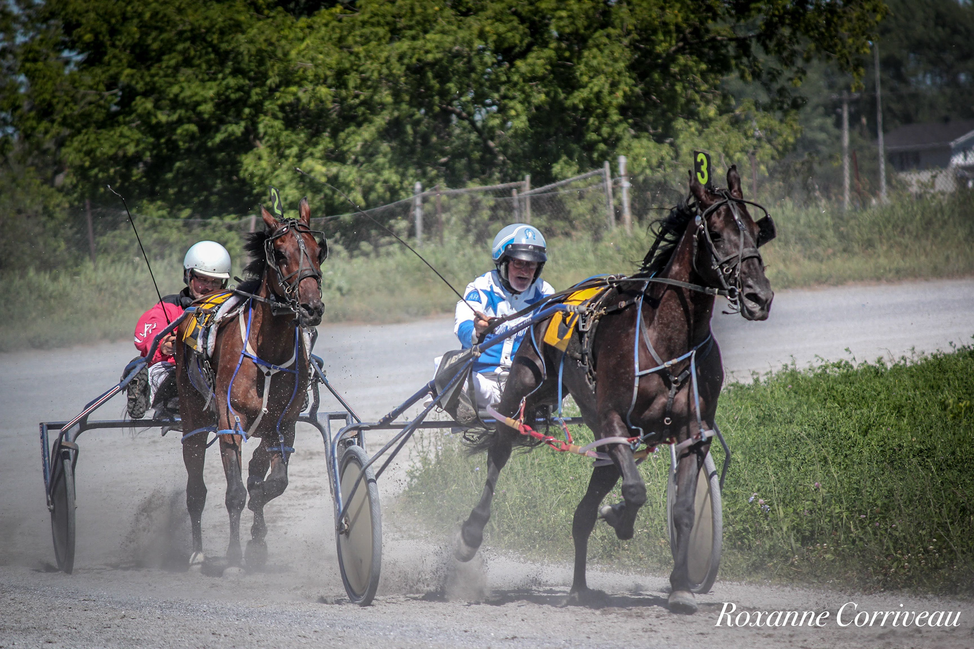 St-Hugues 7 juillet 2018 (156).jpg
