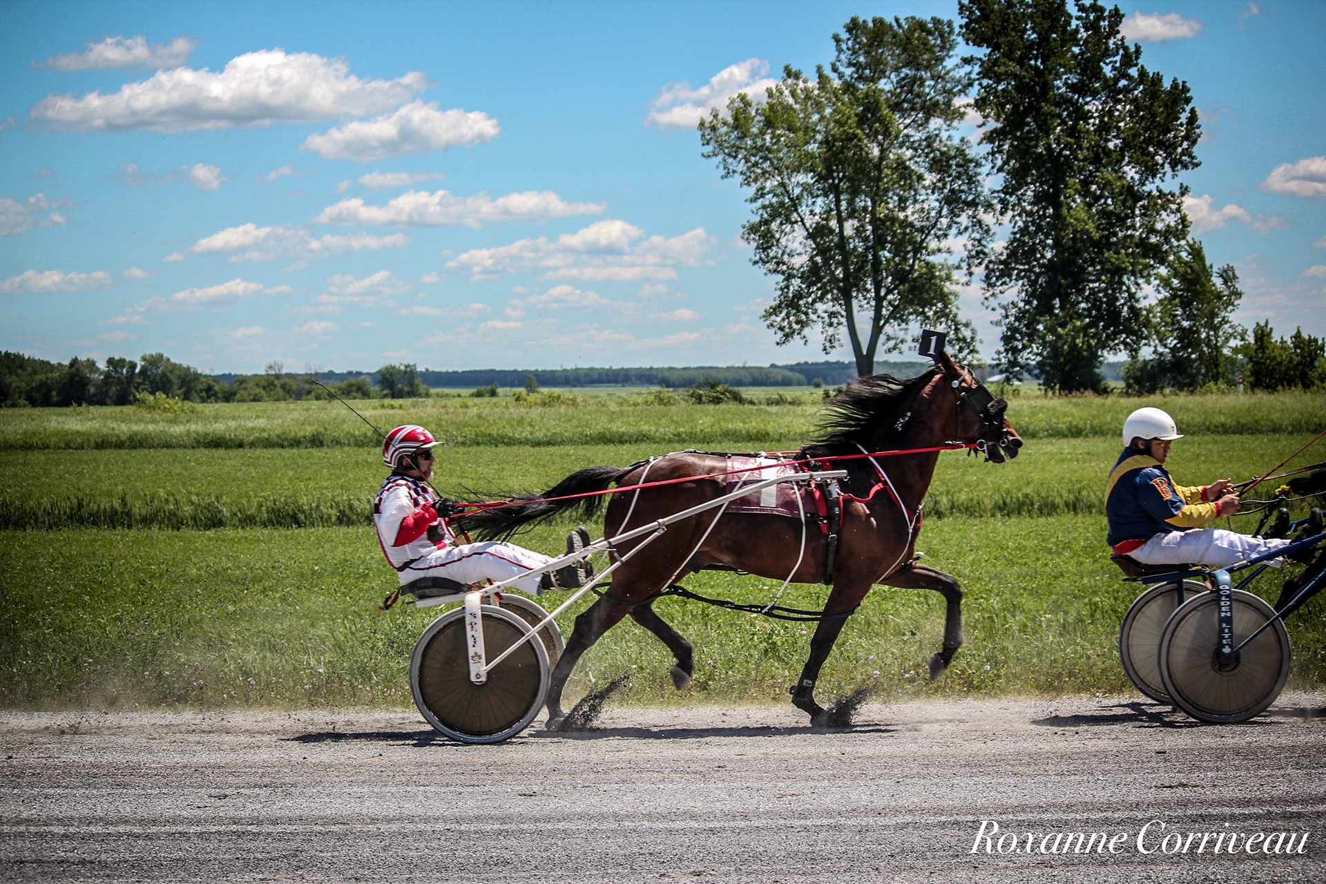 St-Hugues 7 juillet 2018 (43).jpg