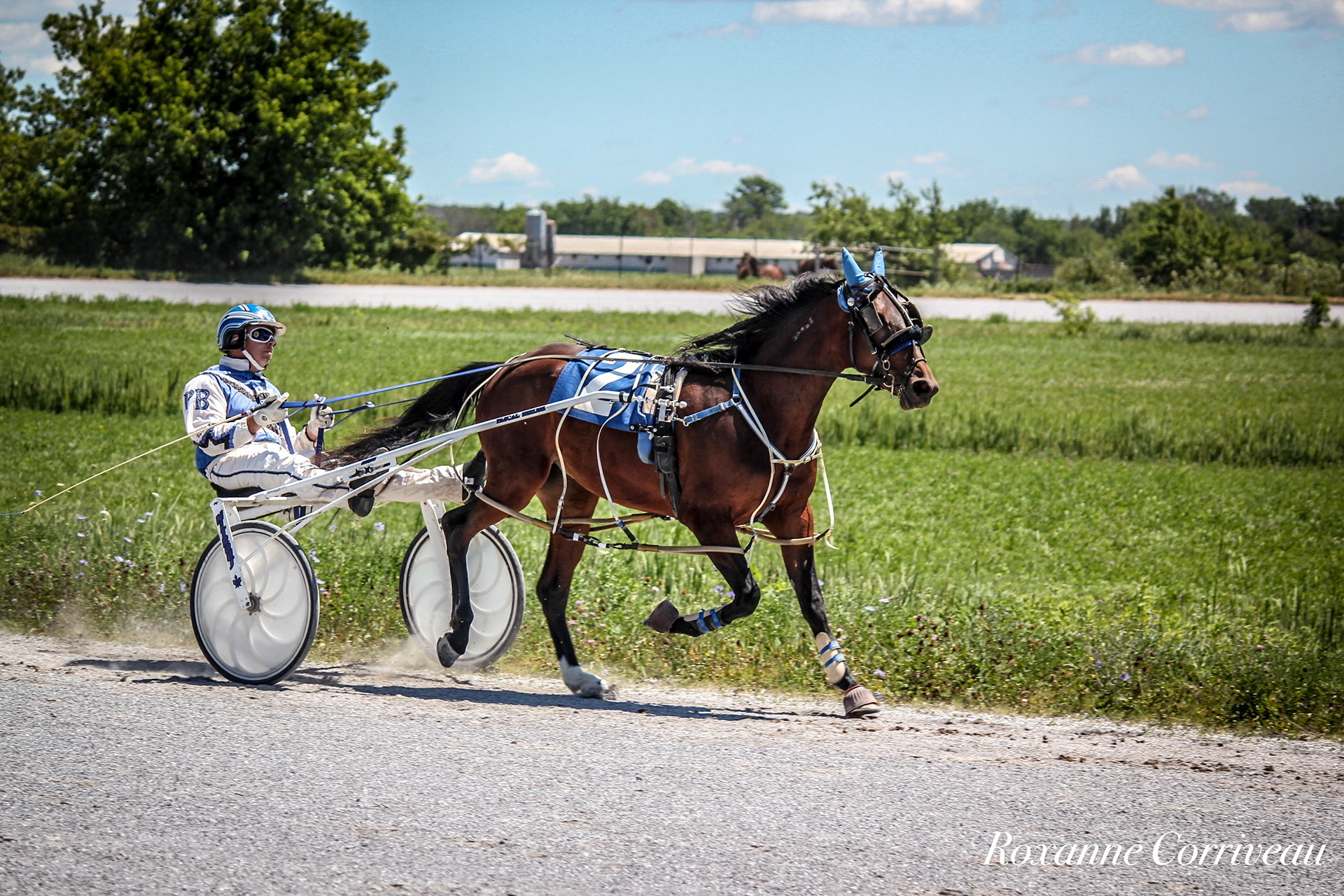 St-Hugues 7 juillet 2018 (14).jpg
