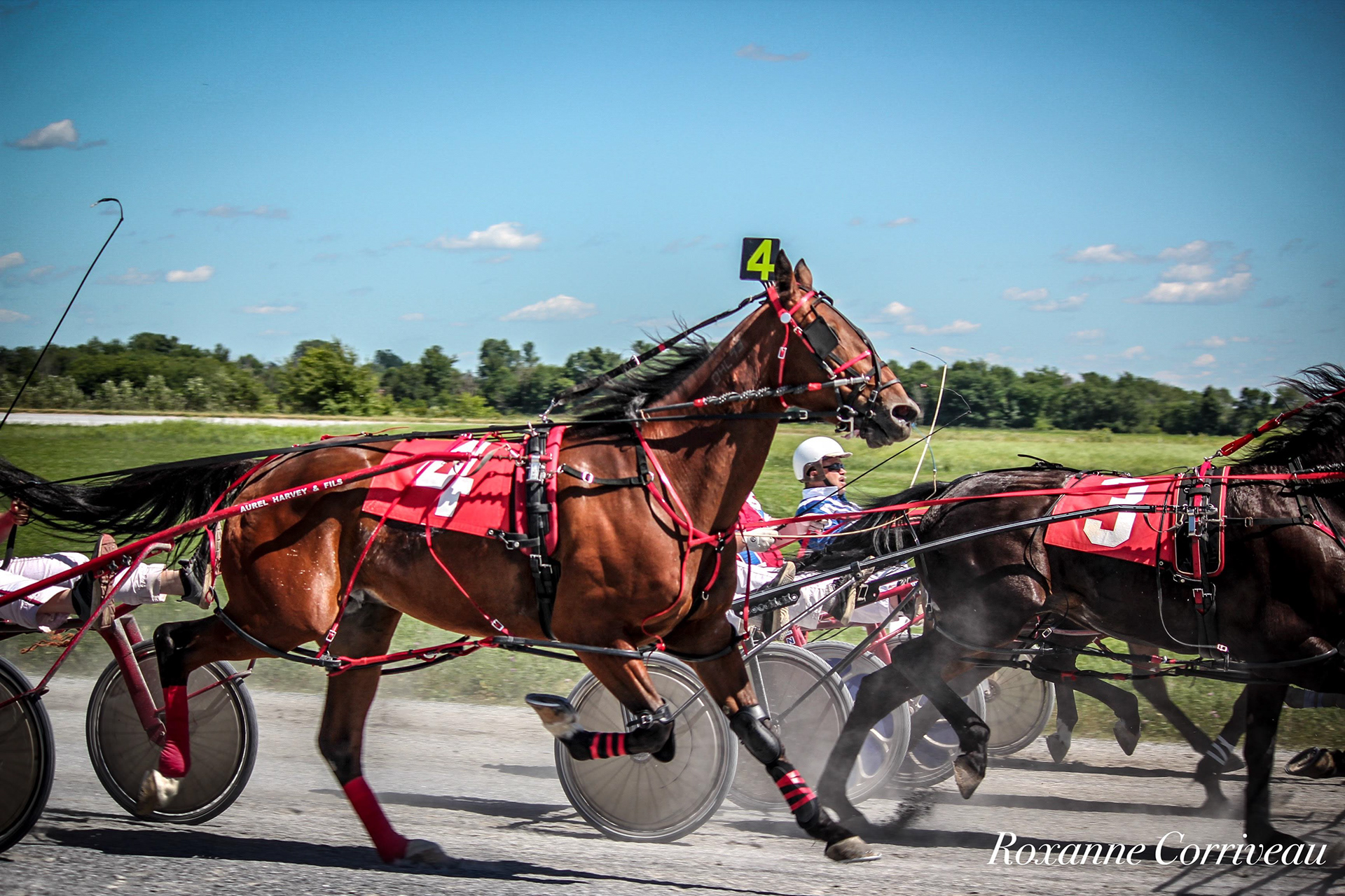 St-Hugues 7 juillet 2018 (119).jpg