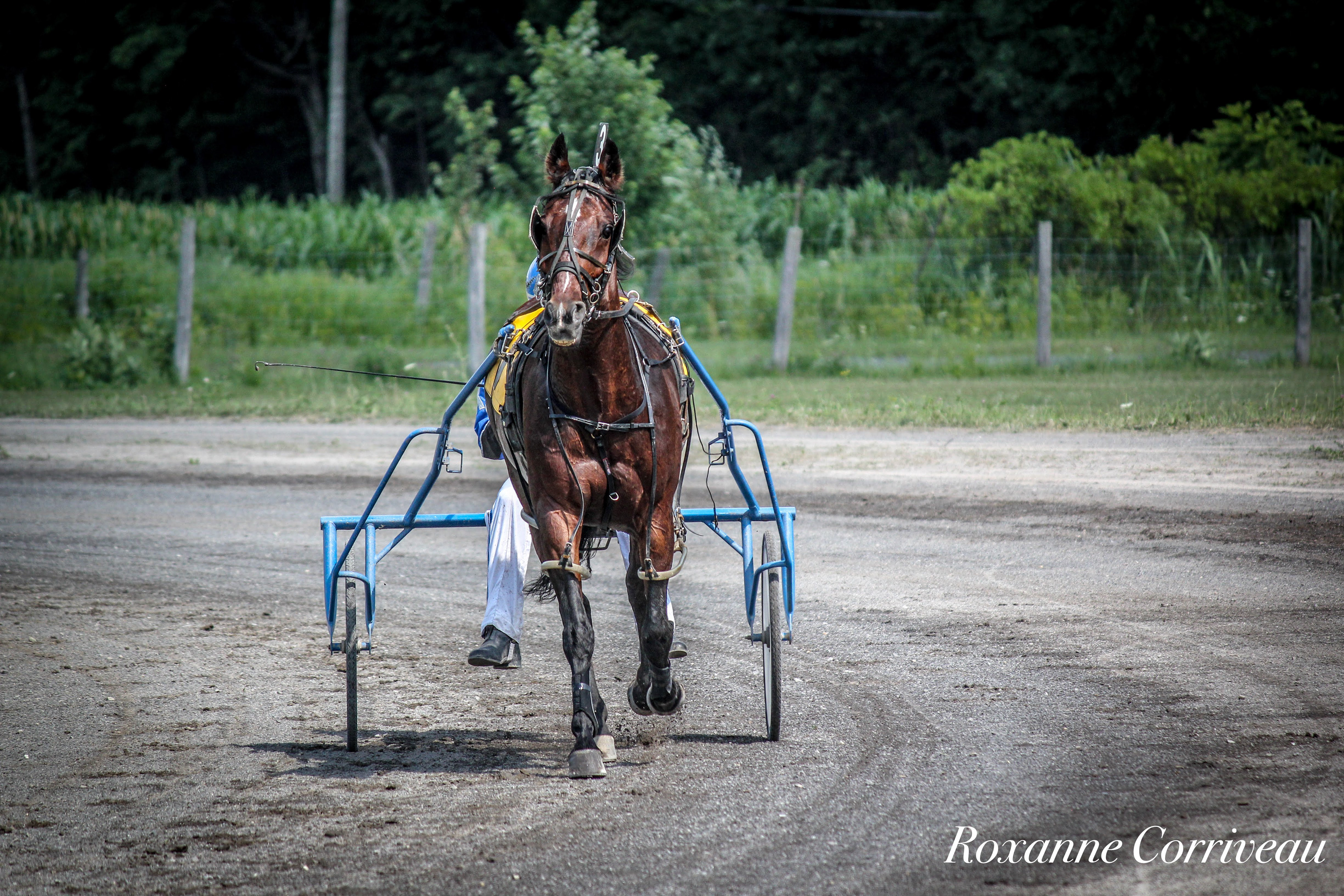 Ormstown 14 juillet 2018 (112).jpg