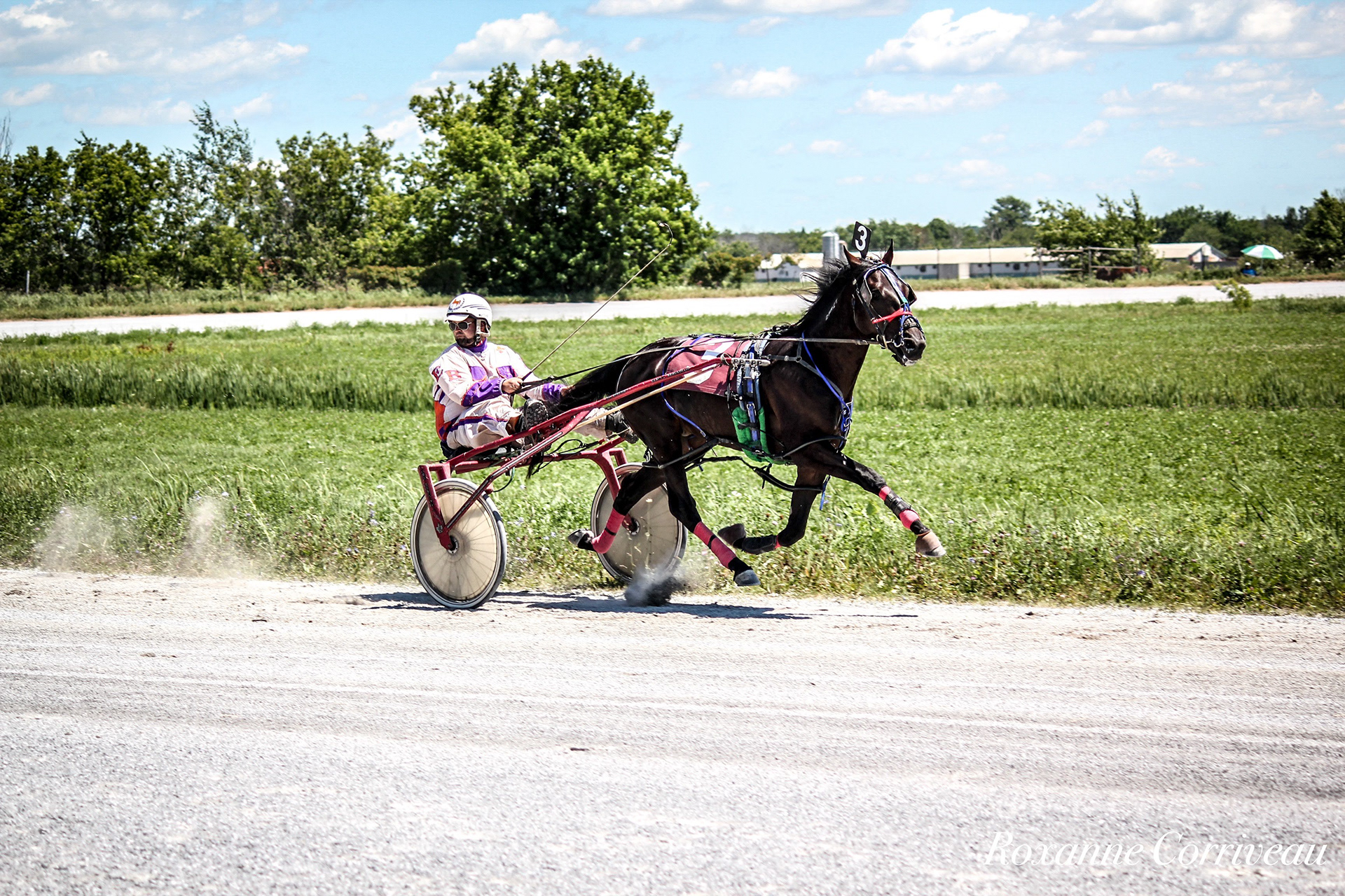 St-Hugues 7 juillet 2018 (48).jpg