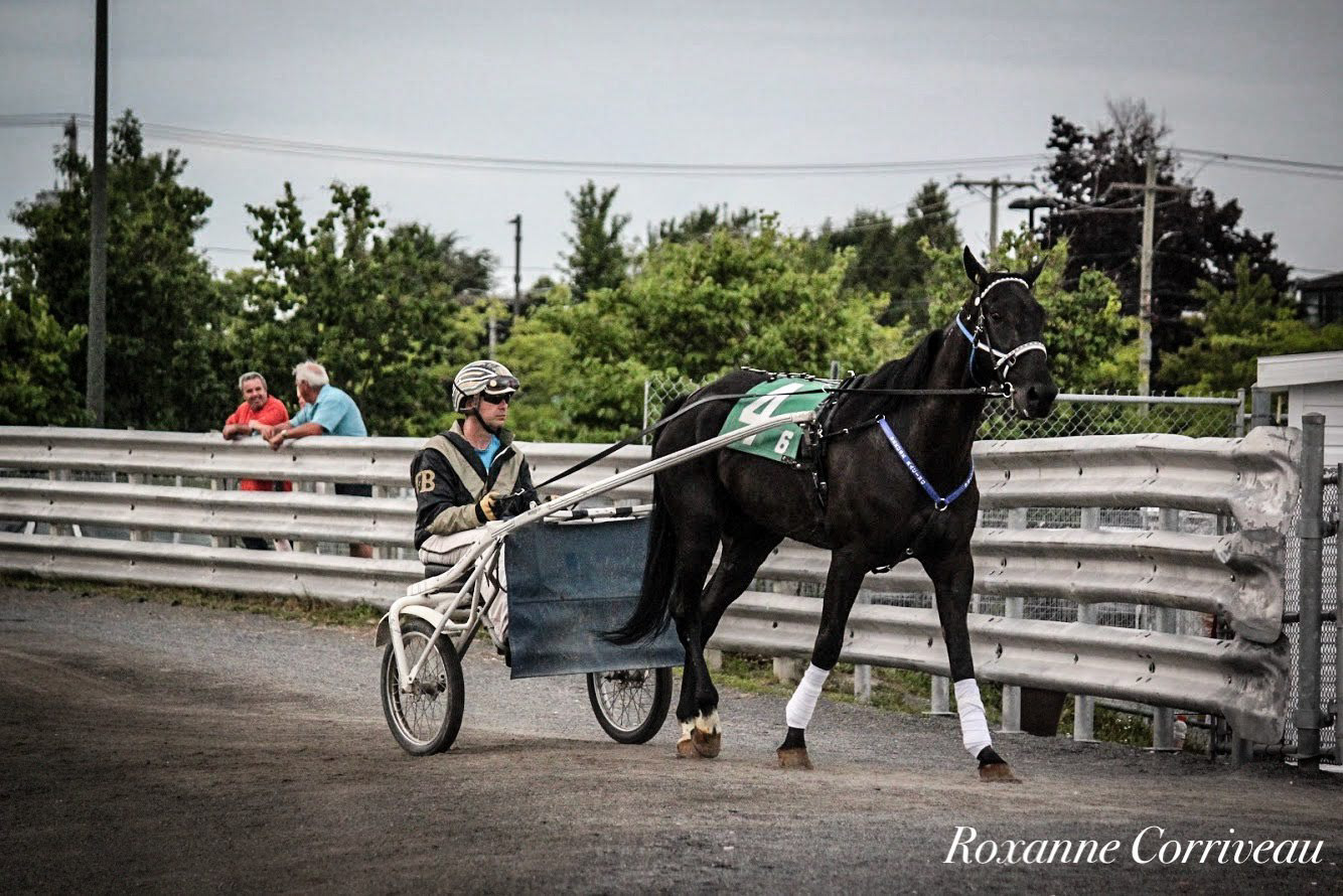 H3R 25 juillet 2018 (41)jpg