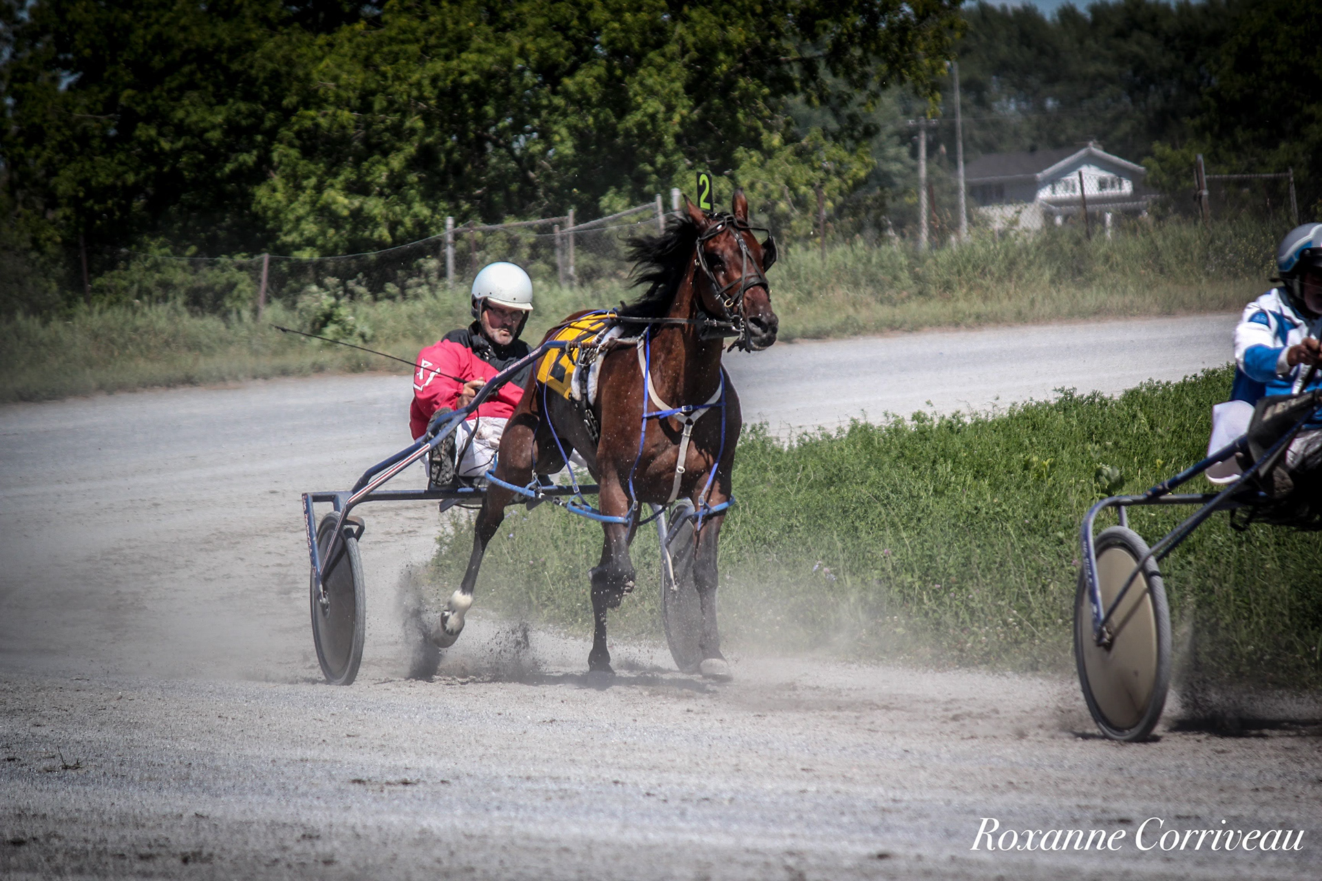 St-Hugues 7 juillet 2018 (157).jpg