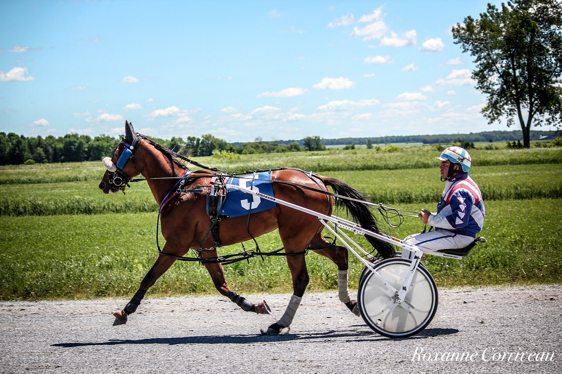 St-Hugues 7 juillet 2018 (20).jpg
