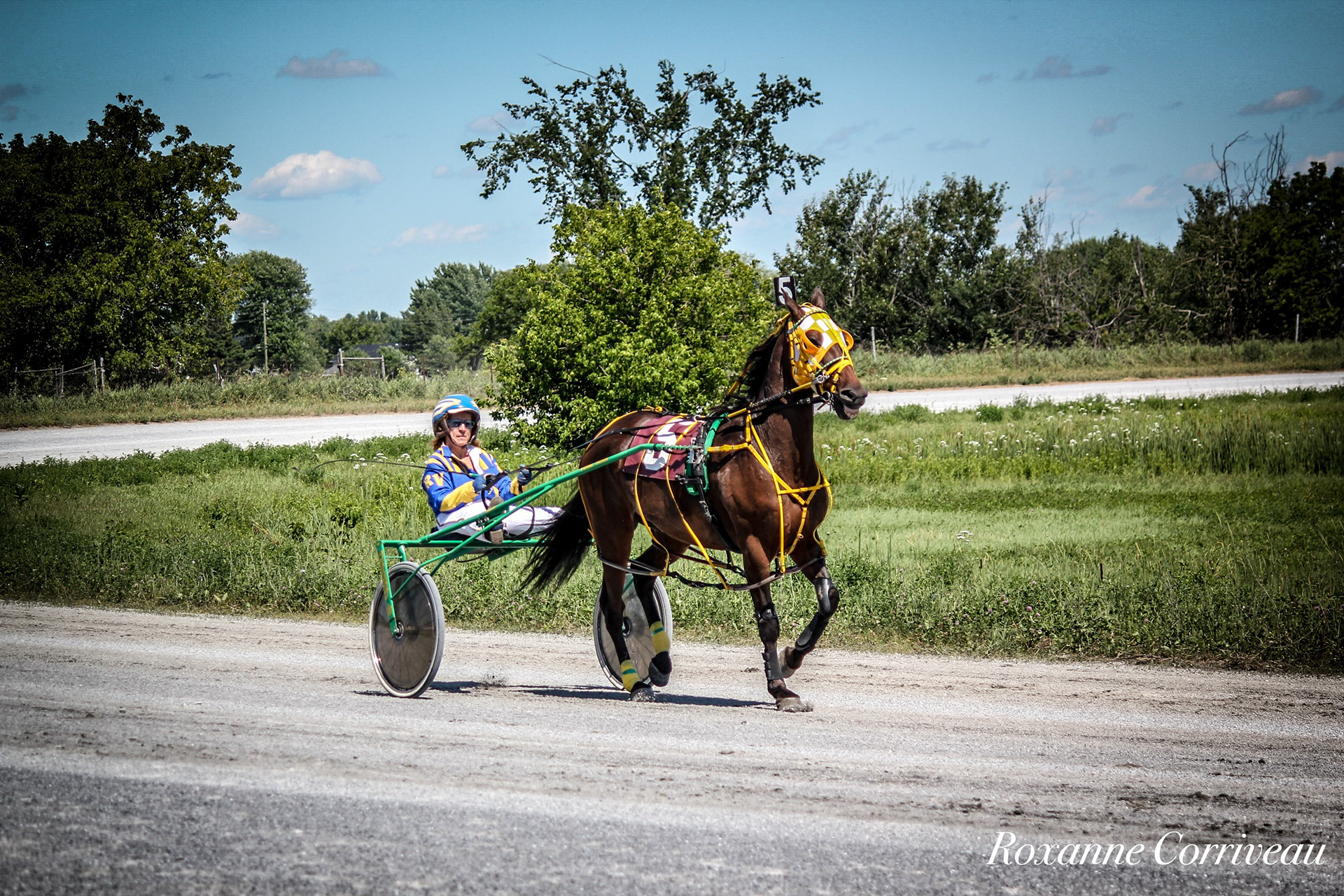 St-Hugues 7 juillet 2018 (132).jpg