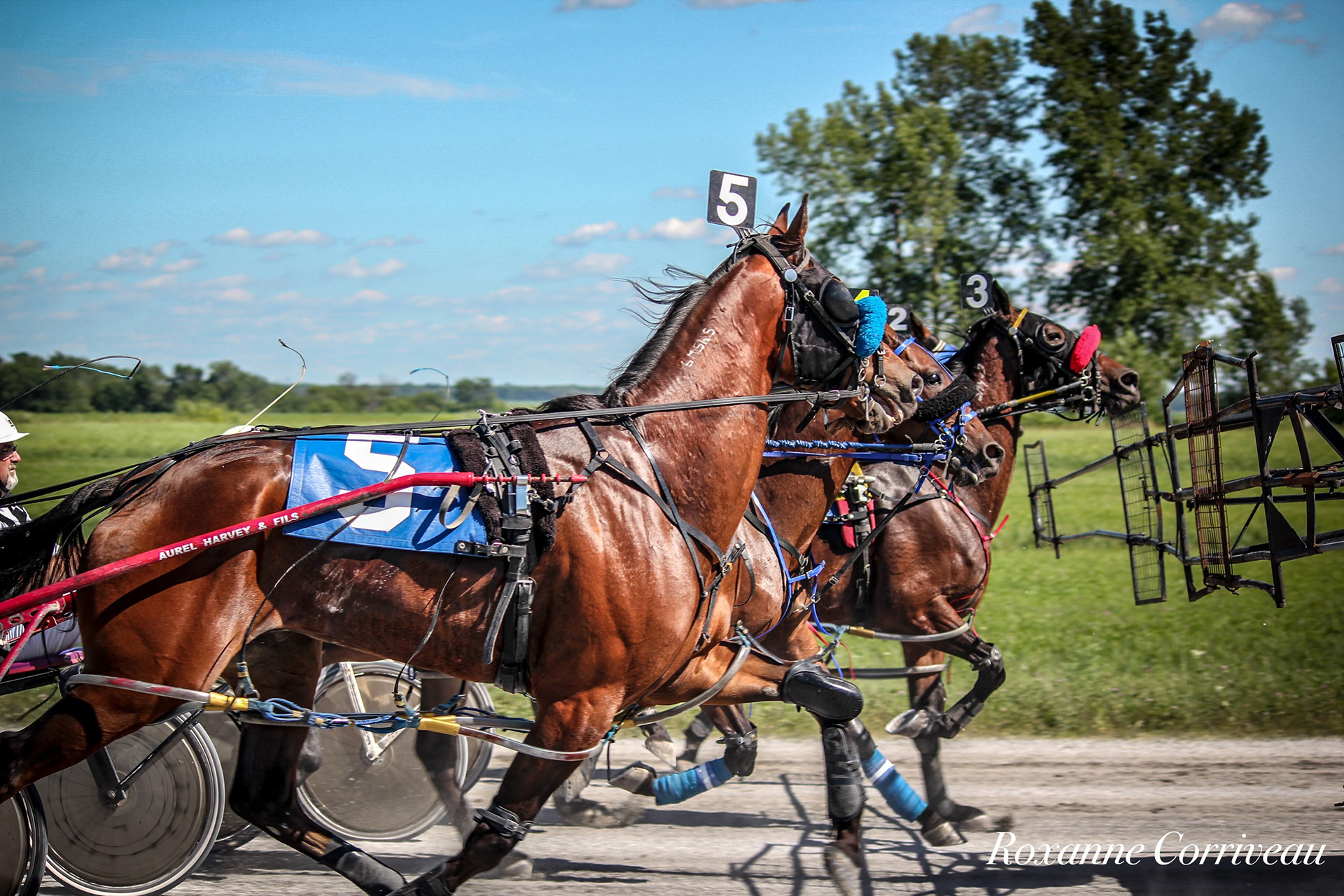 St-Hugues 7 juillet 2018 (176).jpg