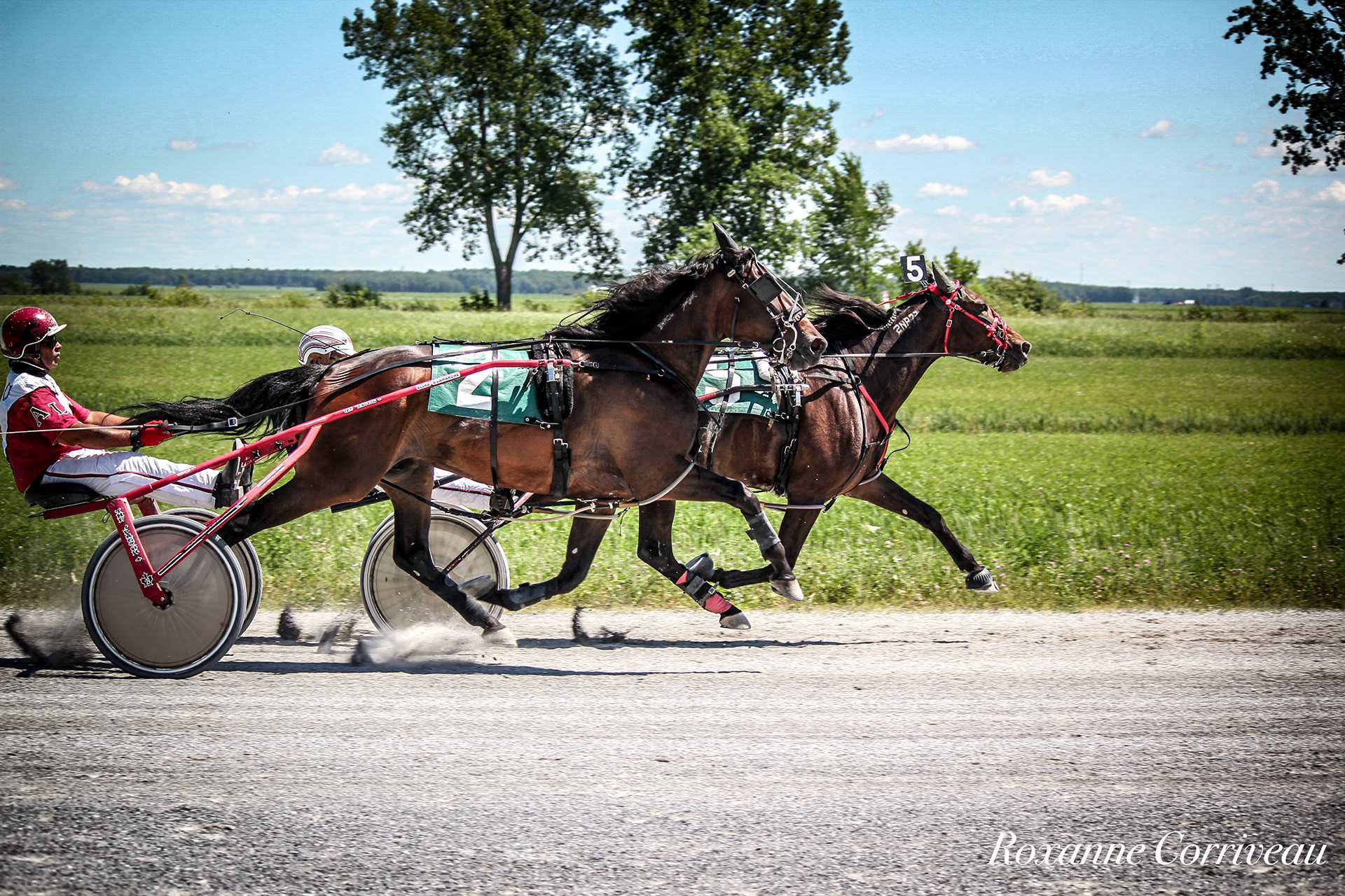 St-Hugues 7 juillet 2018 (108).jpg