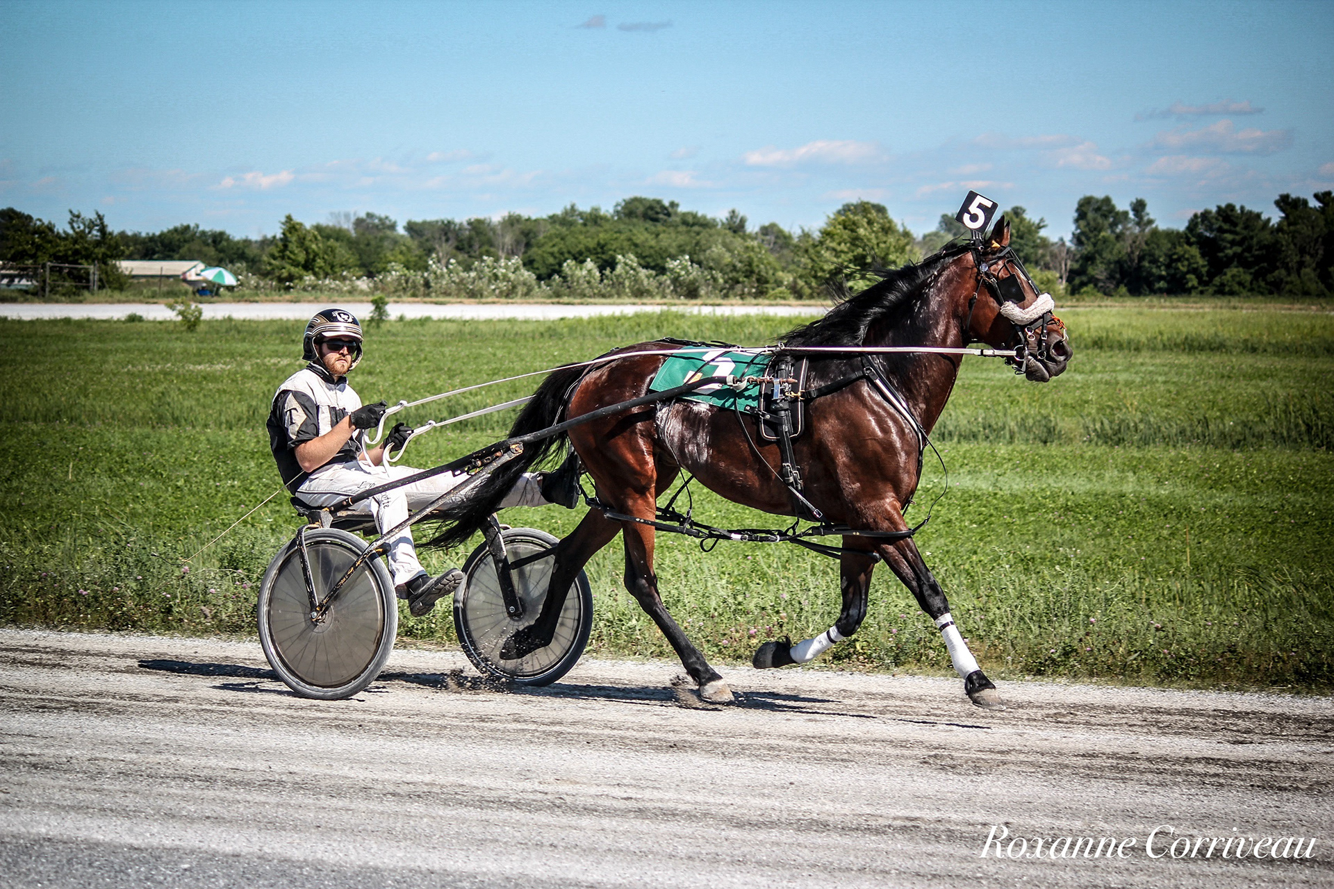 St-Hugues 7 juillet 2018 (197).jpg