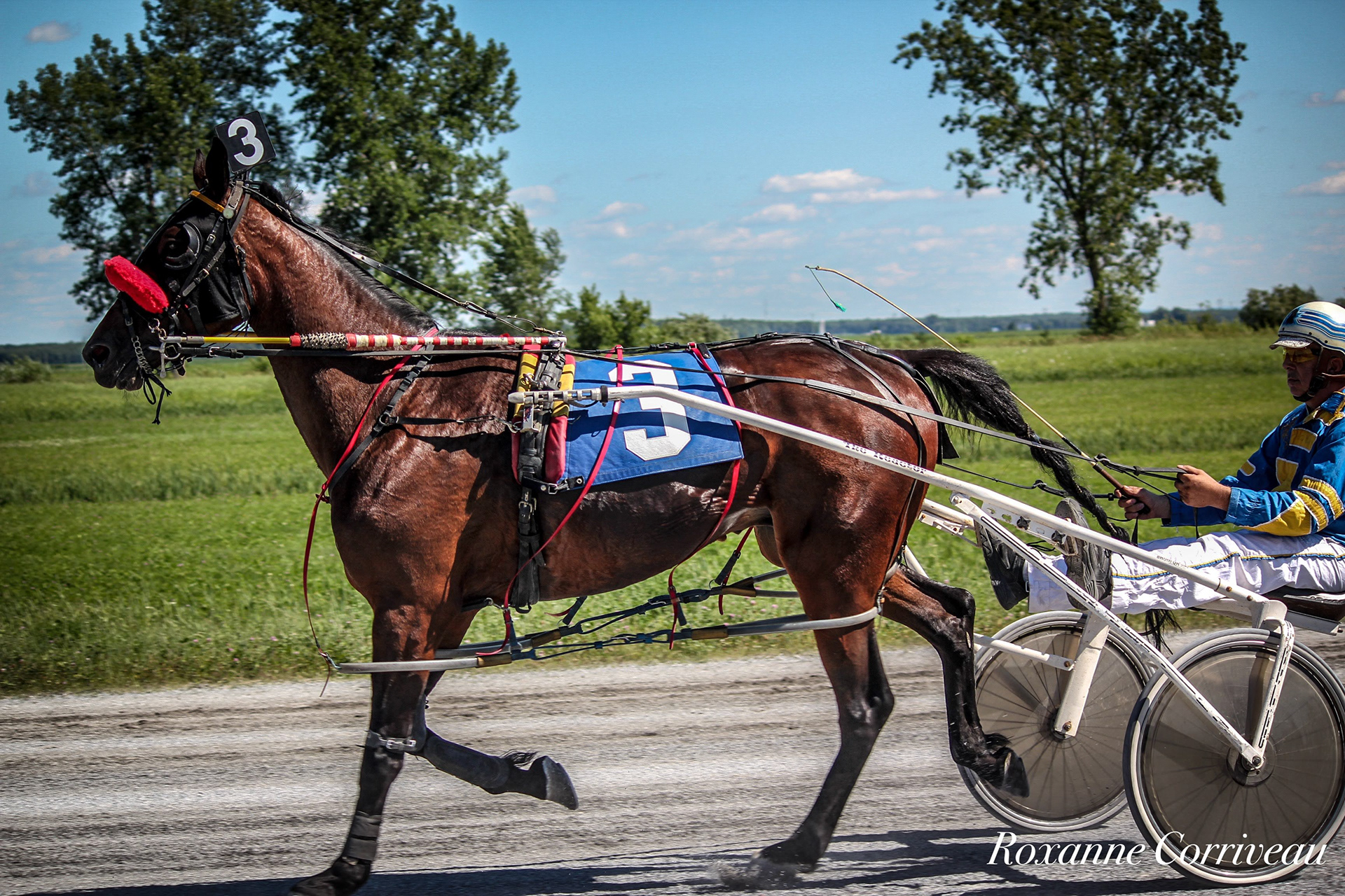 St-Hugues 7 juillet 2018 (172).jpg
