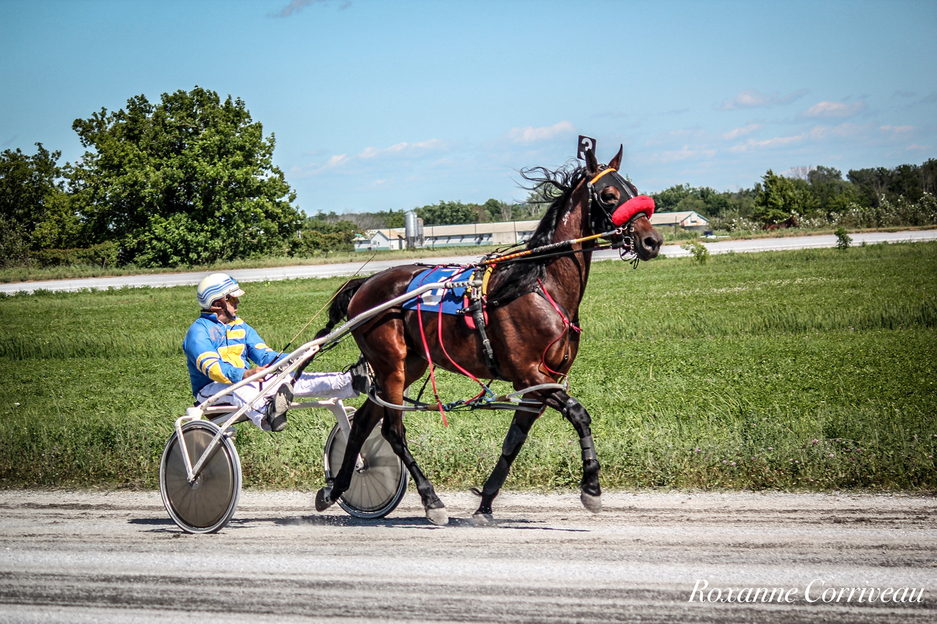 St-Hugues 7 juillet 2018 (167).jpg